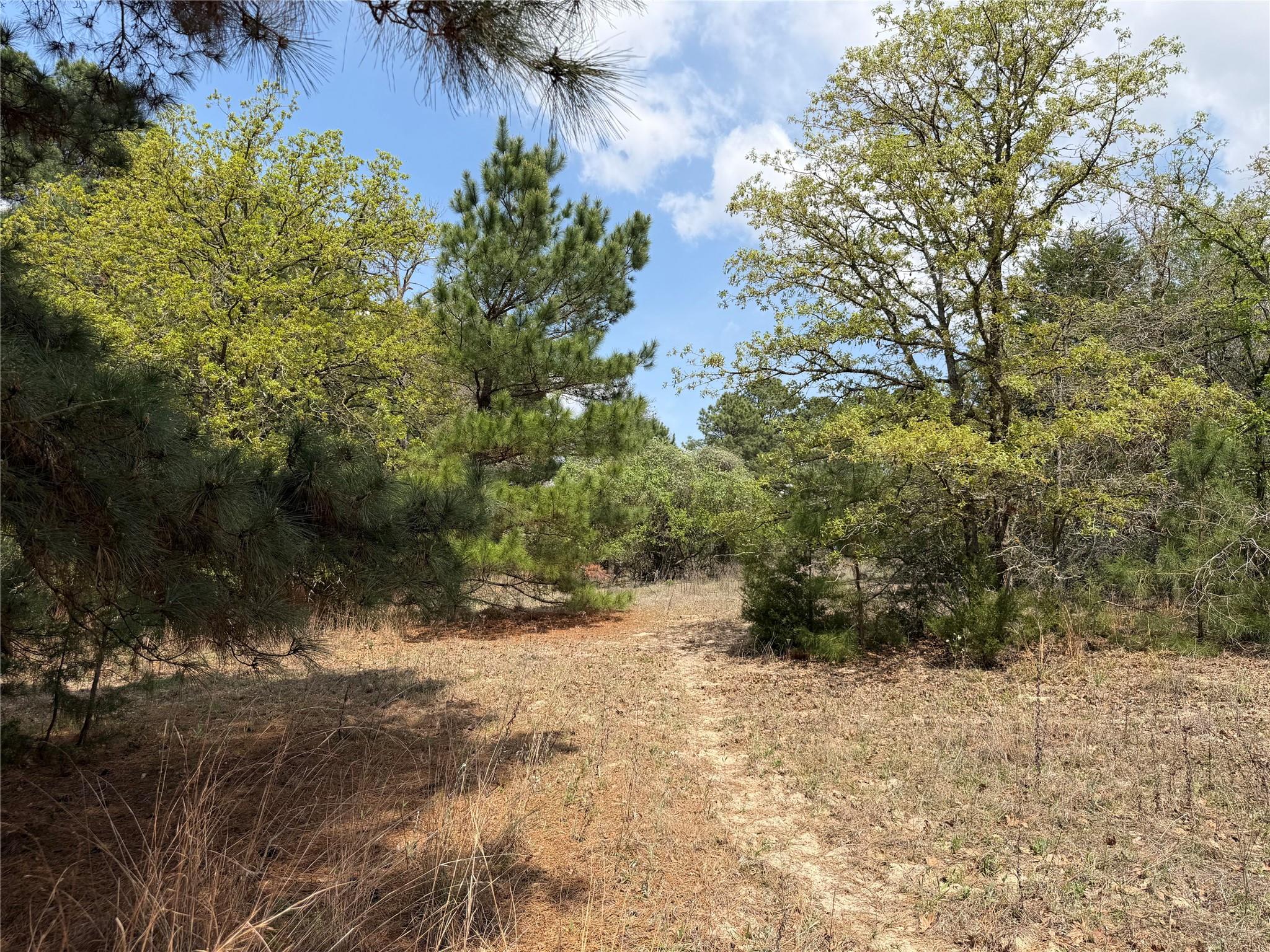 118 Edmonson Ranch Rd Property Photo 5