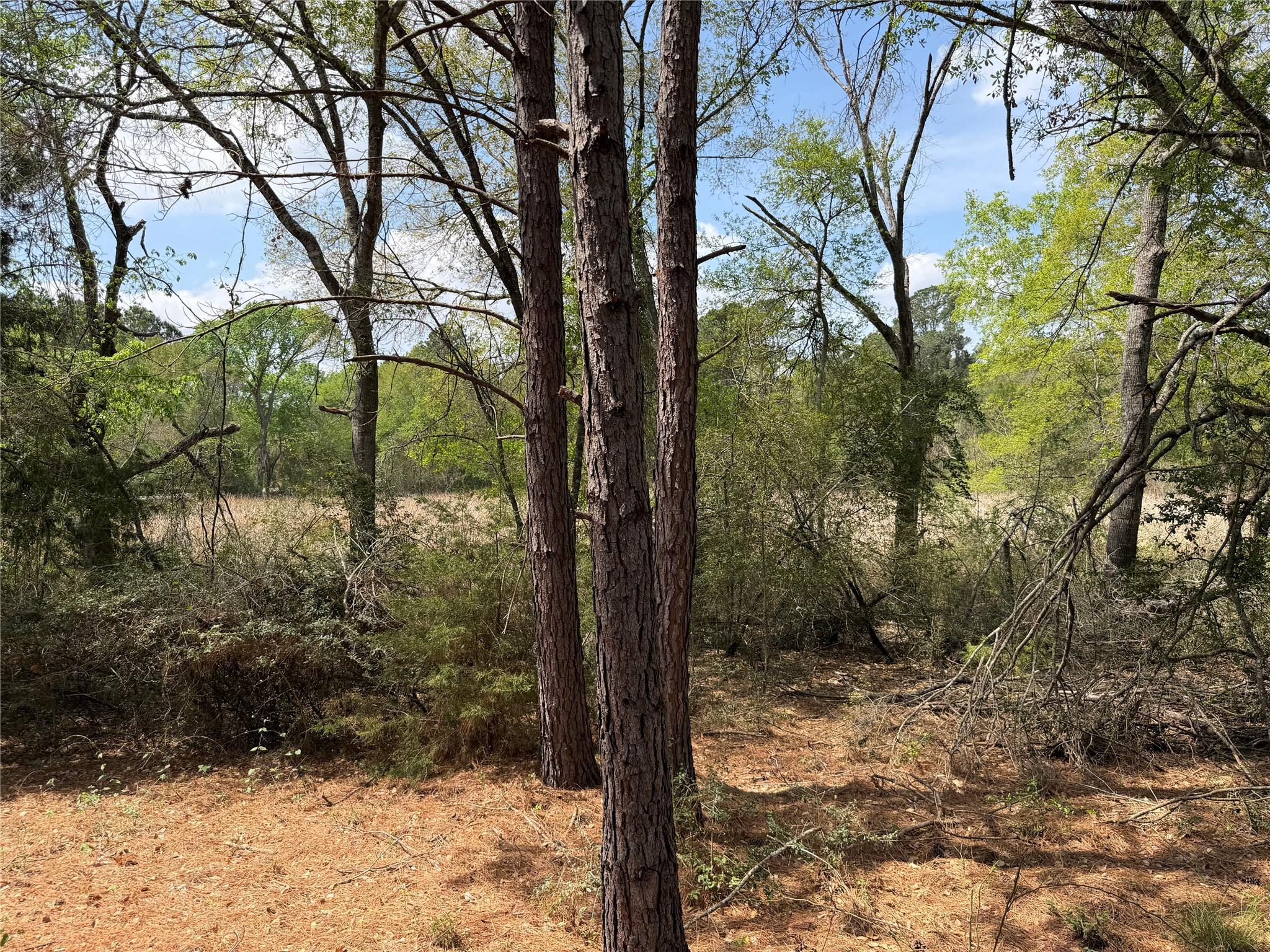 118 Edmonson Ranch Rd Property Photo 6