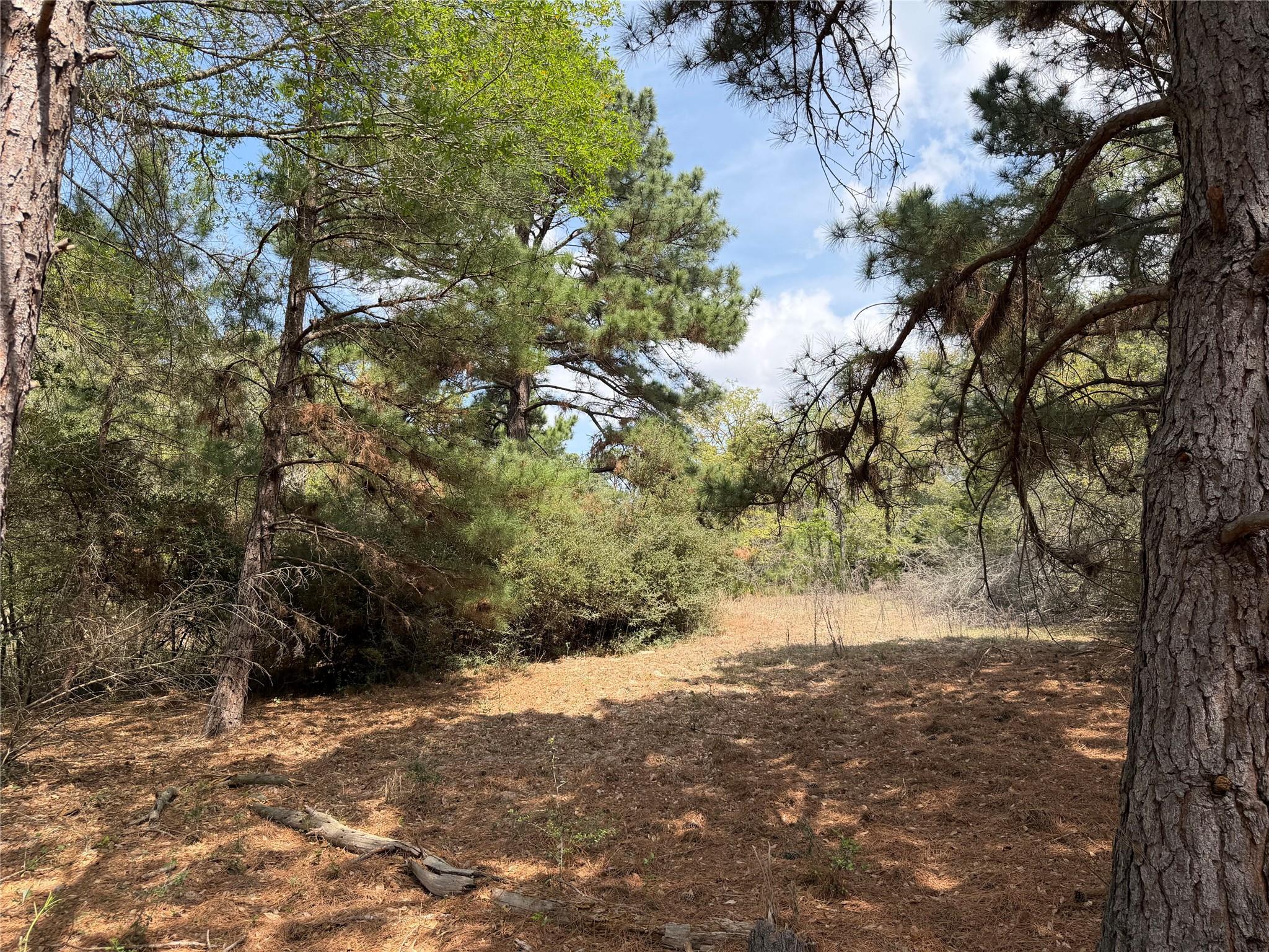 118 Edmonson Ranch Rd Property Photo 7