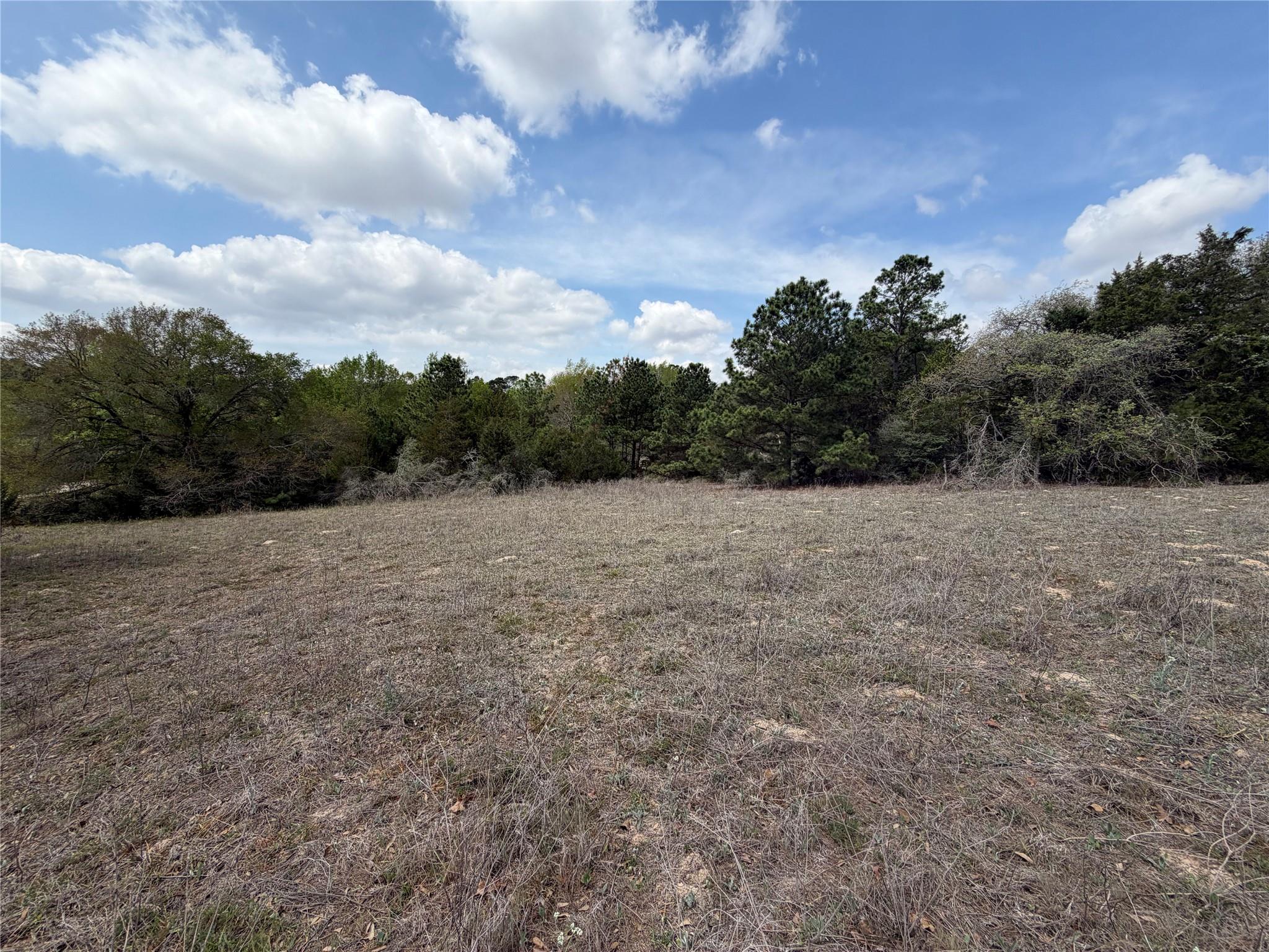 118 Edmonson Ranch Rd Property Photo 8