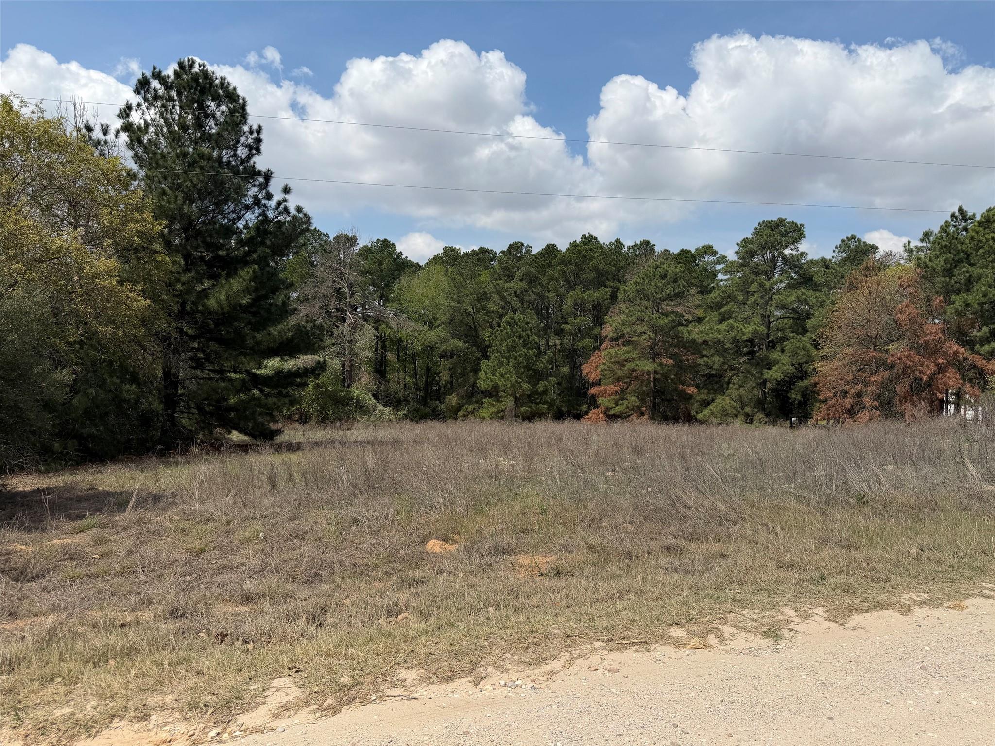 118 Edmonson Ranch Rd Property Photo 9