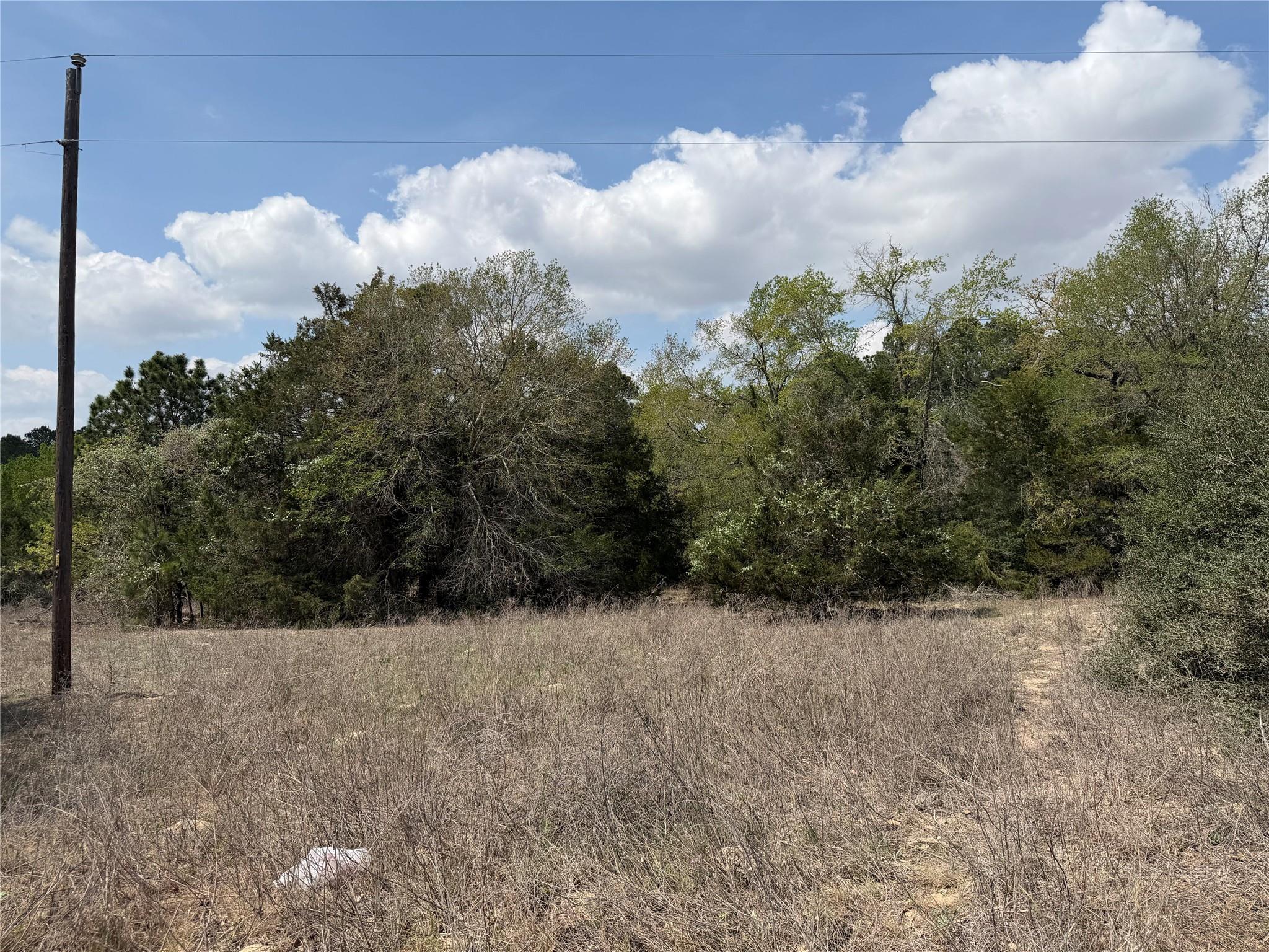 118 Edmonson Ranch Rd Property Photo 10