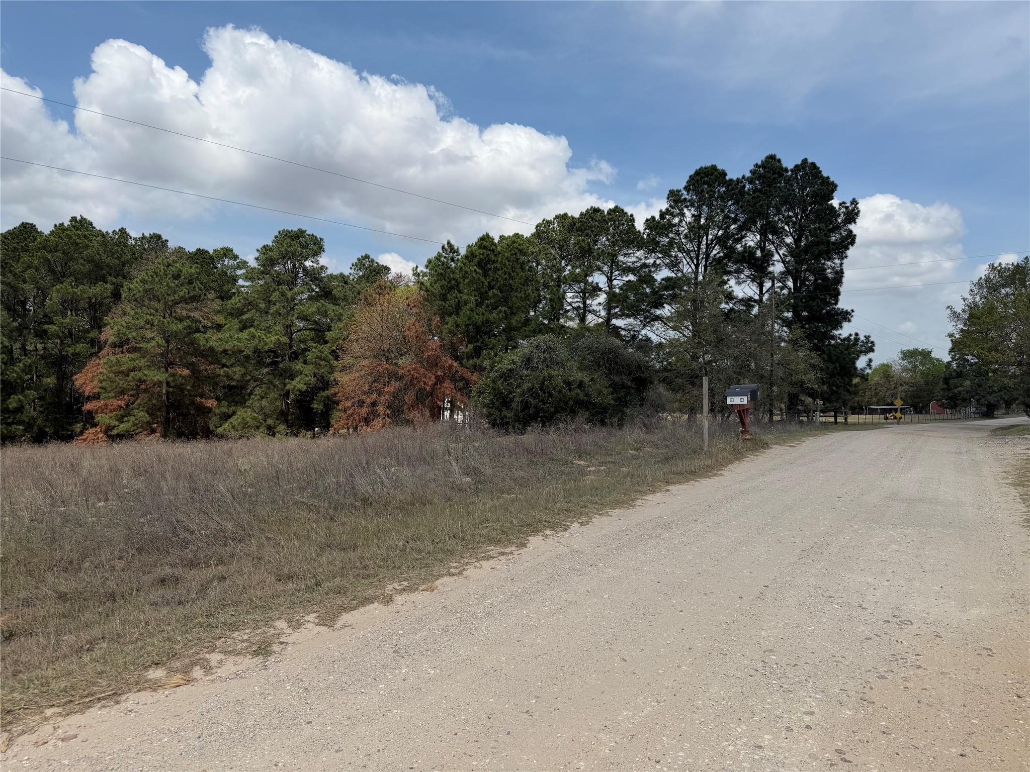 118 Edmonson Ranch Rd Property Photo 11