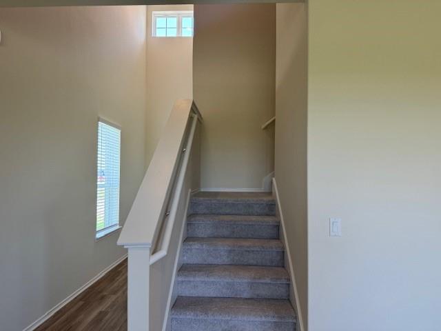 639 Papaya Dr Property Photo 25