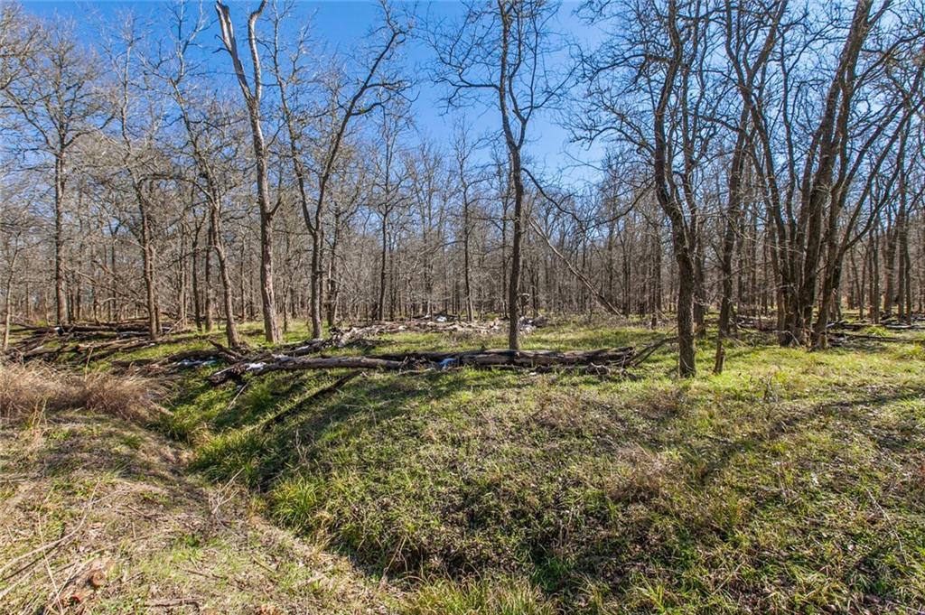 10740 Camino Real None Property Photo 19