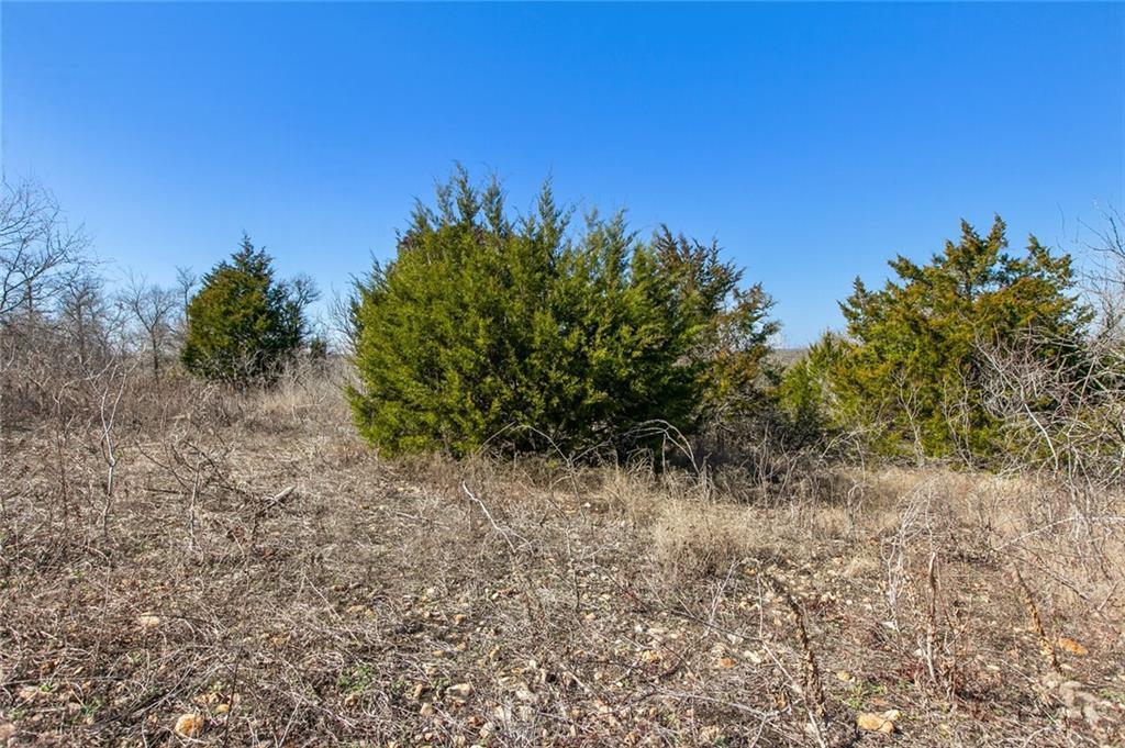10740 Camino Real None Property Photo 25