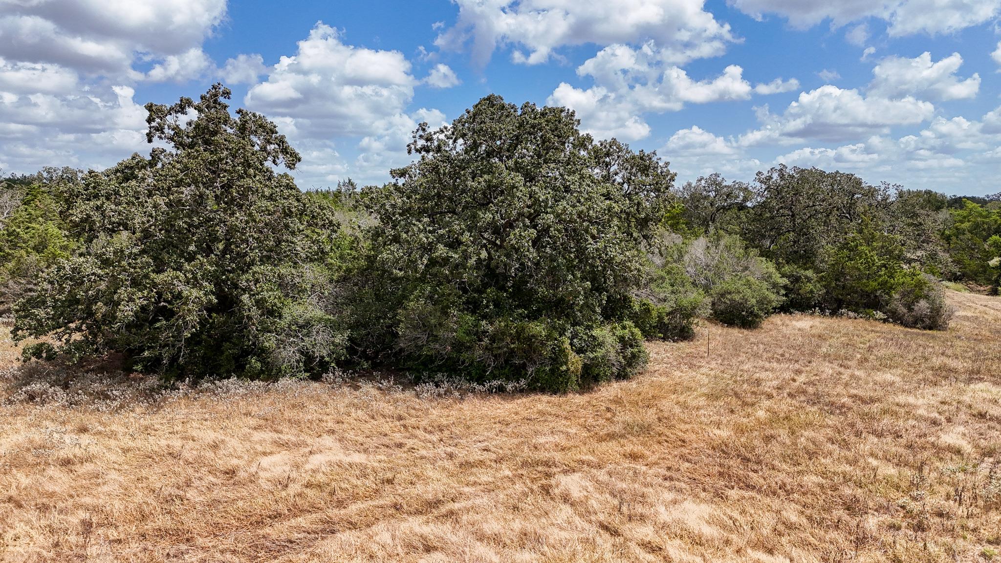 4661792 Property Photo 4