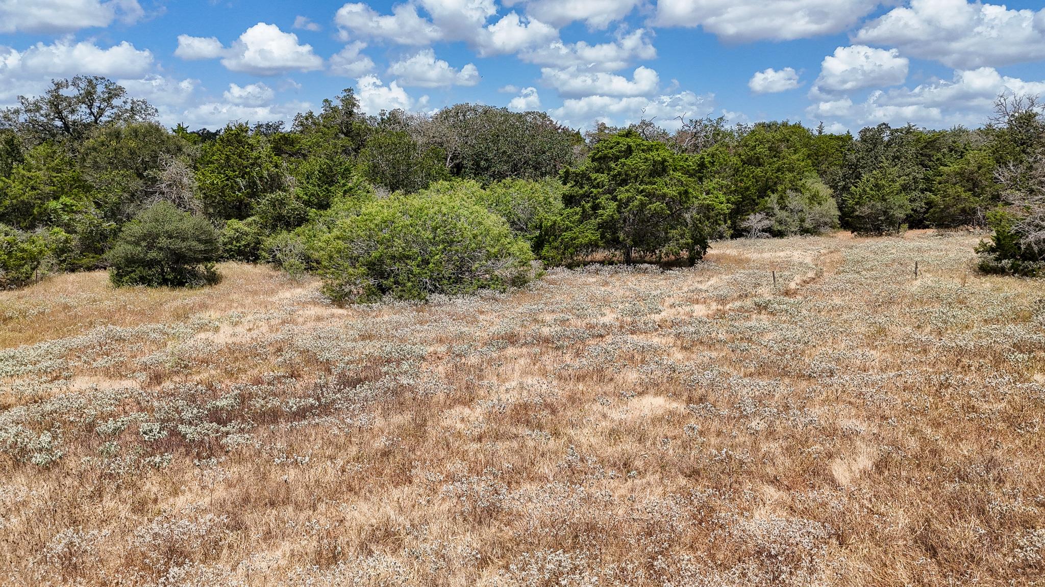 4661792 Property Photo 7