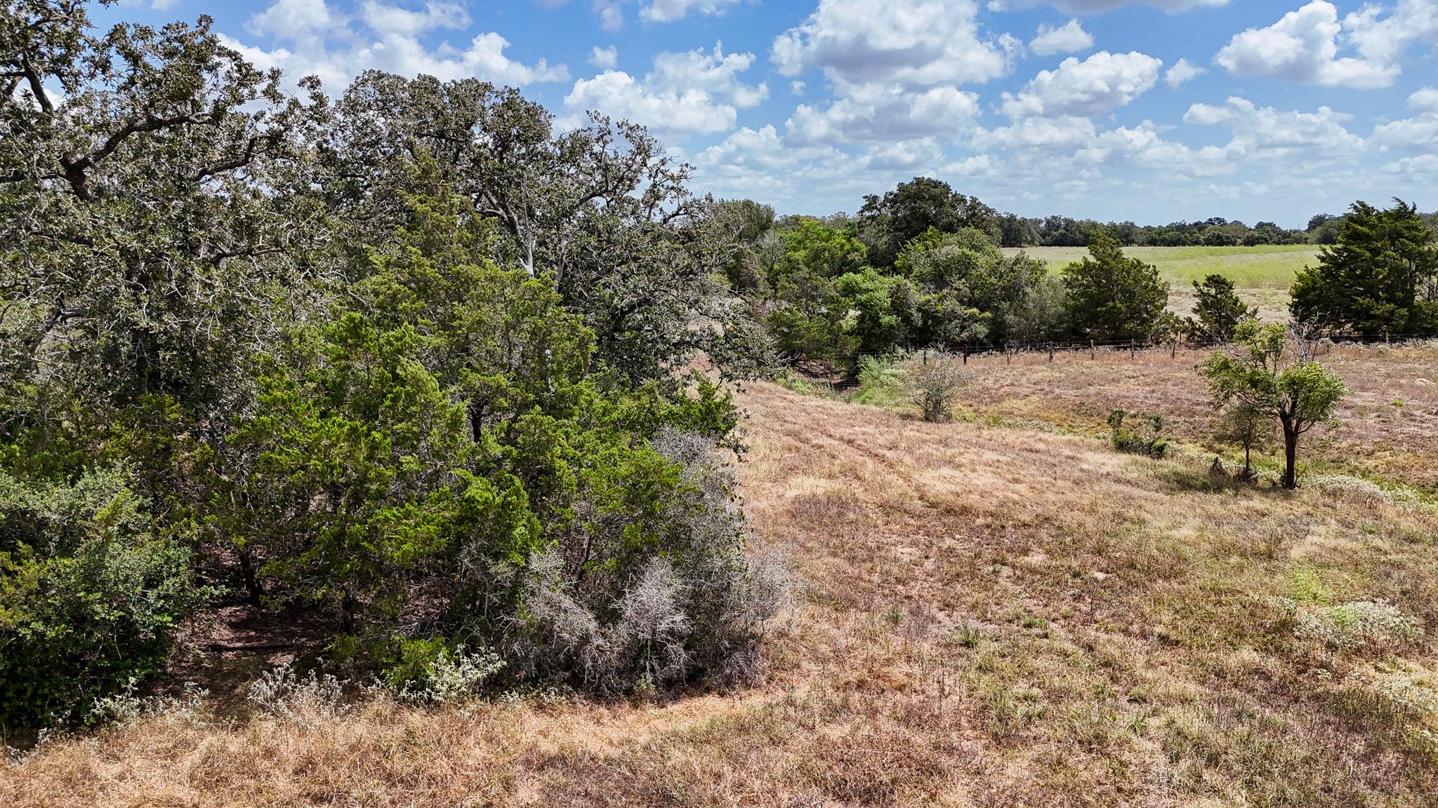 4661792 Property Photo 8