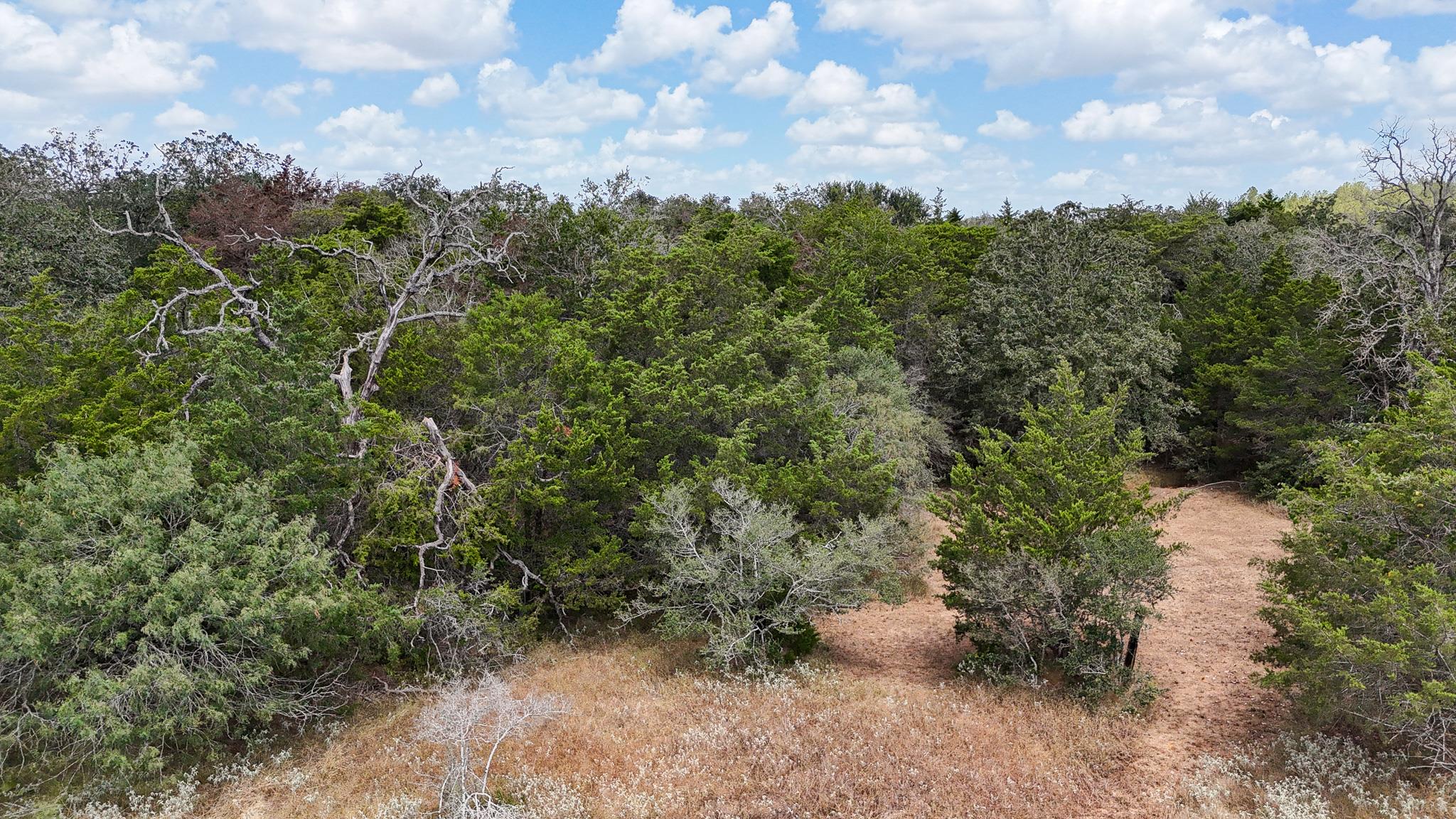 4661792 Property Photo 12