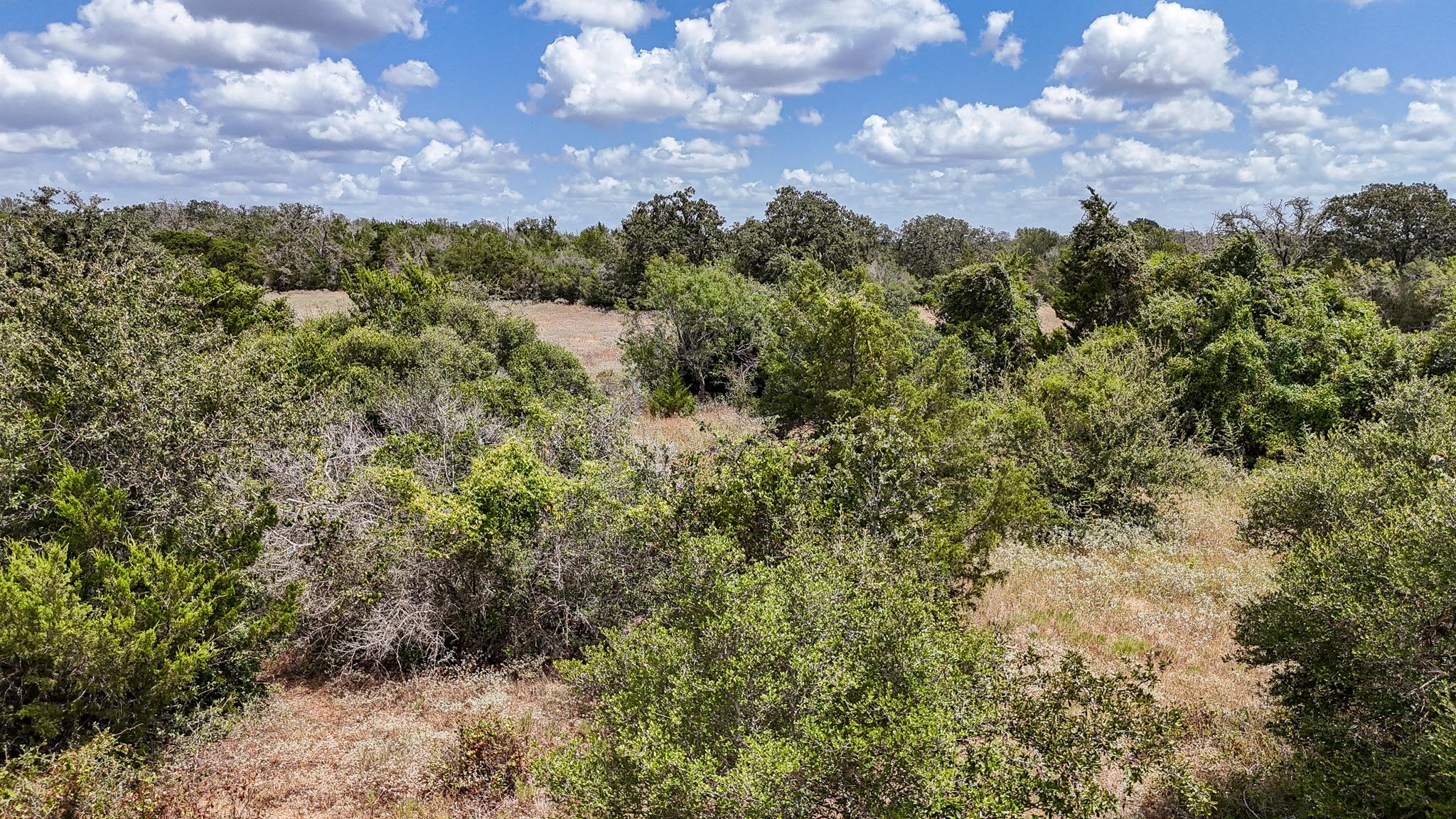 4661792 Property Photo 17