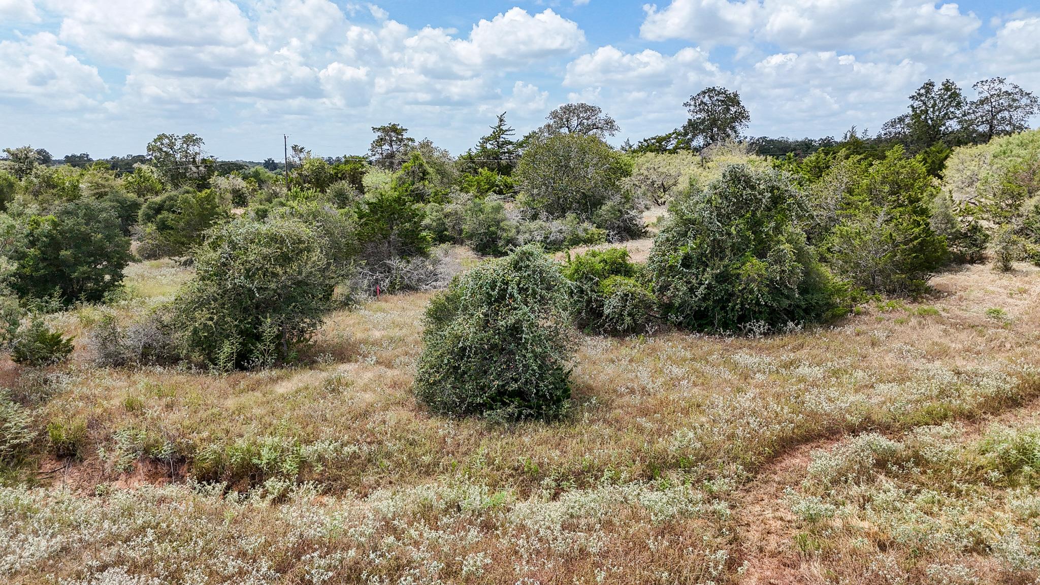 4661792 Property Photo 19