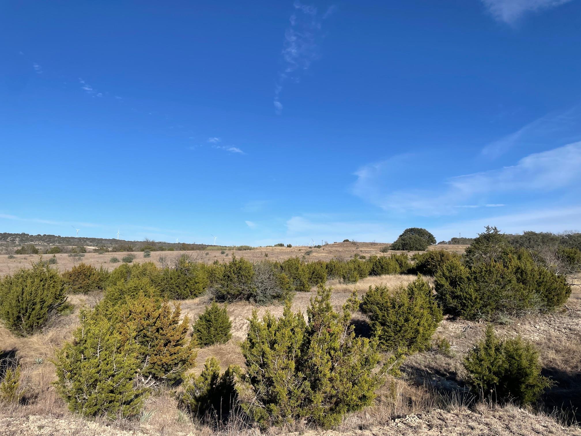 201 W Rolling Oaks Dr Property Photo 11