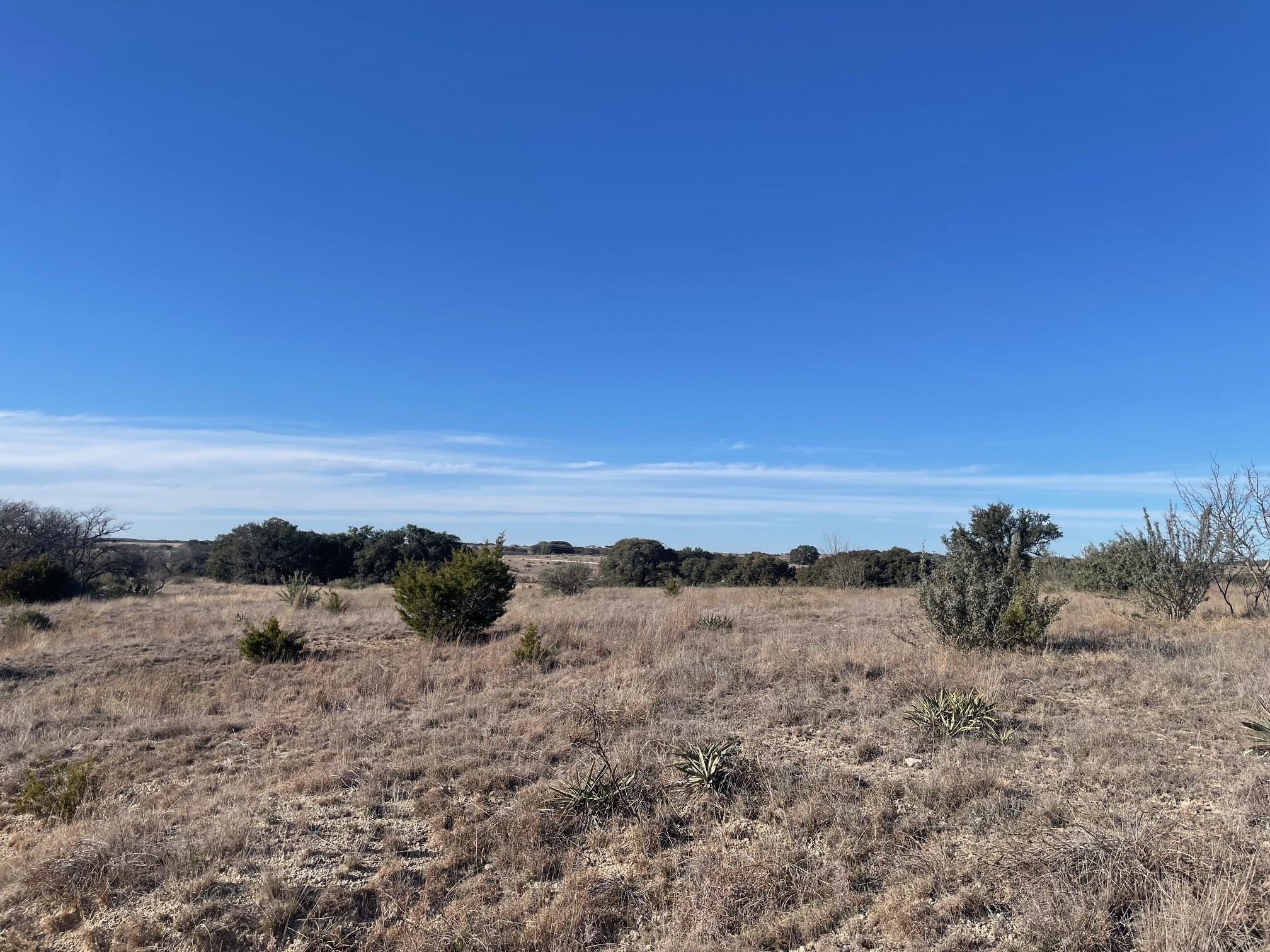 201 W Rolling Oaks Dr Property Photo 15