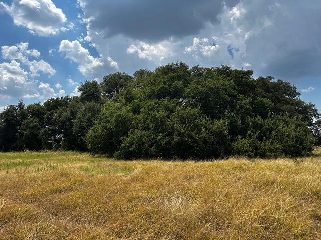 201 W Rolling Oaks Dr Property Photo 17