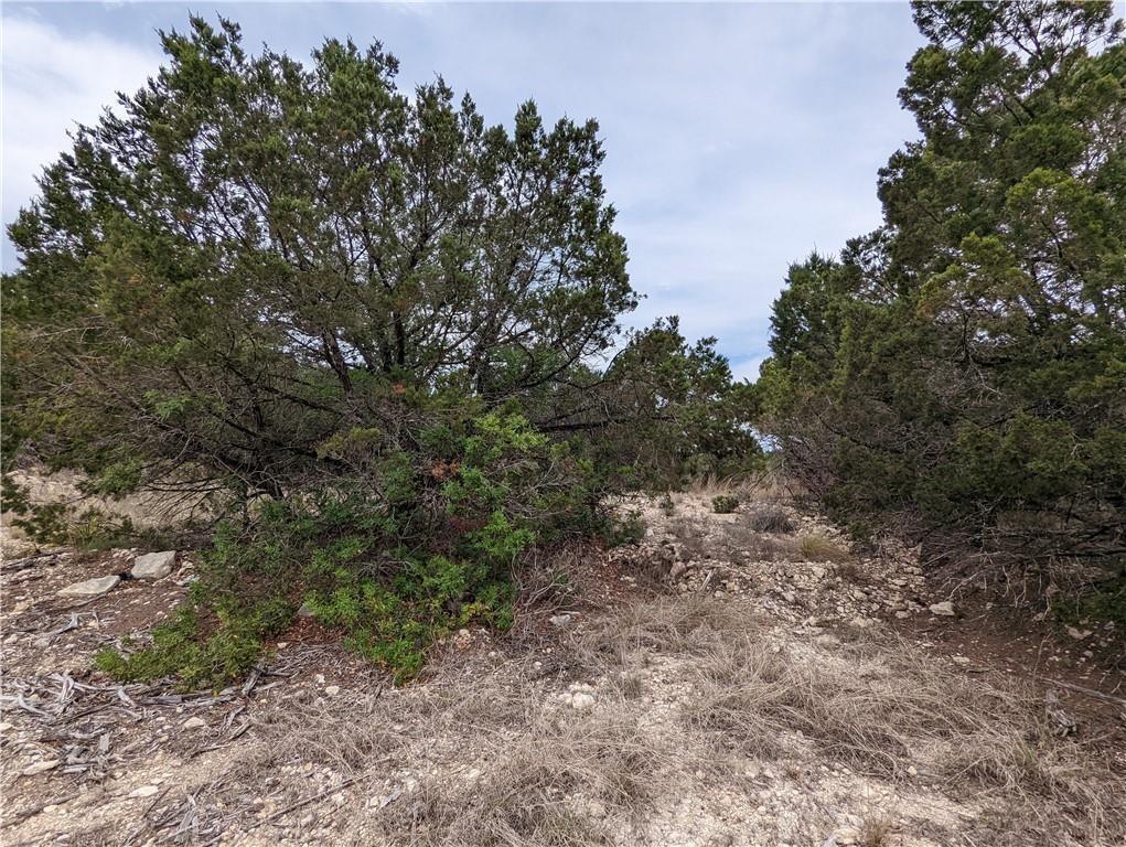 19712 Tyler Trl Property Photo 9