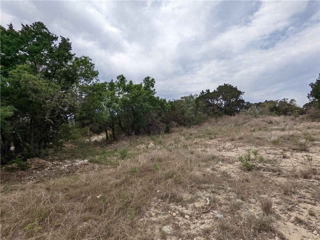 19712 Tyler Trl Property Photo 10
