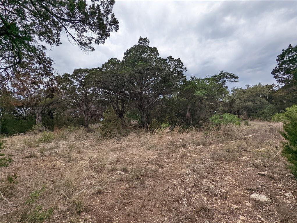 19712 Tyler Trl Property Photo 13