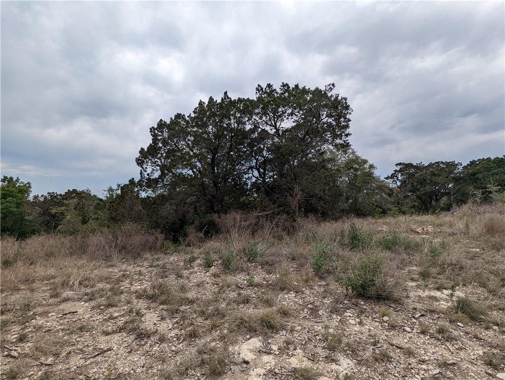 19712 Tyler Trl Property Photo 14