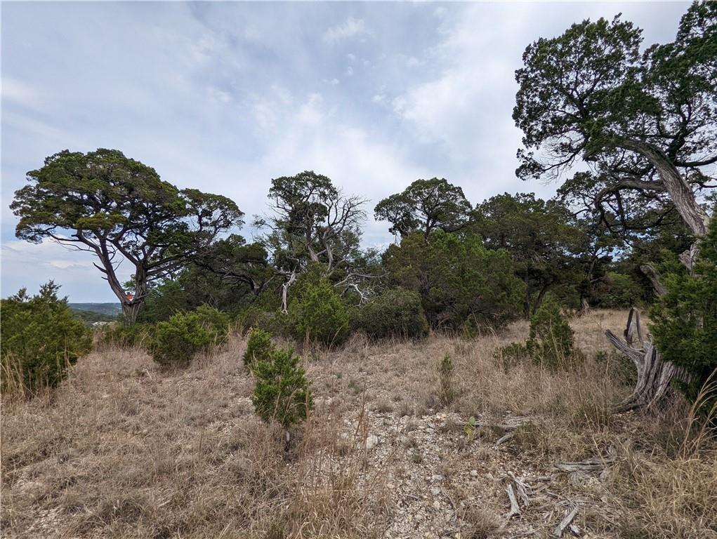 19712 Tyler Trl Property Photo 18