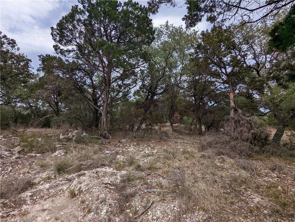 19712 Tyler Trl Property Photo 19