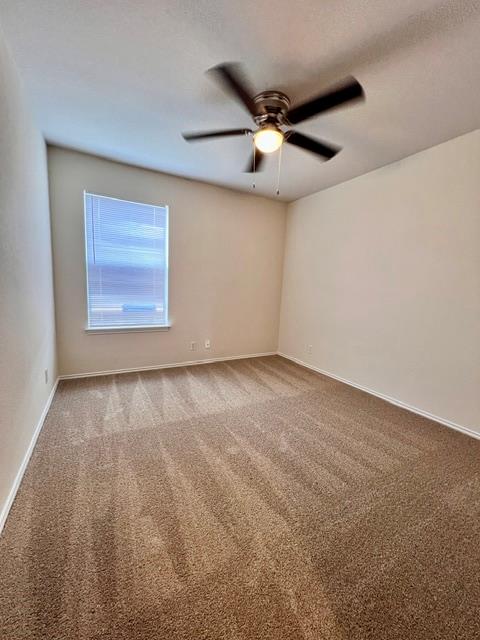 1005 W South St Property Photo 17