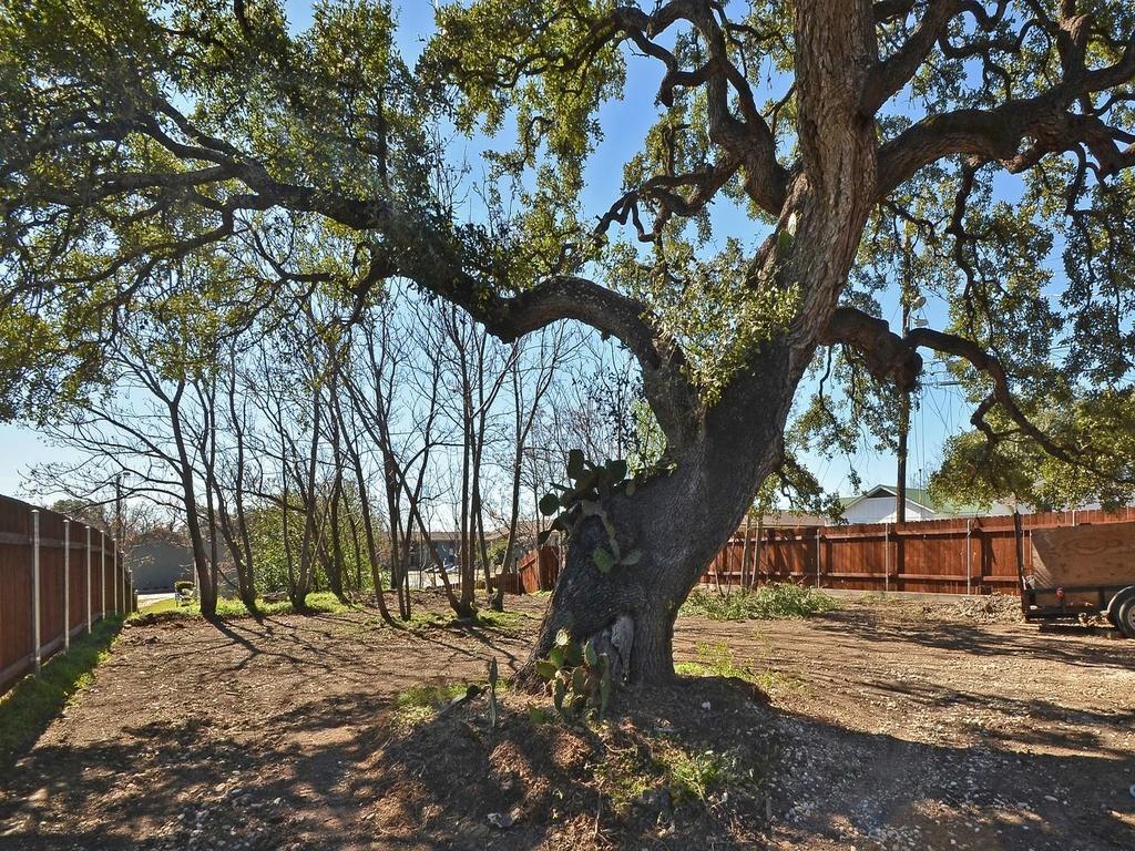 3141 E 12th St #c Property Photo 11