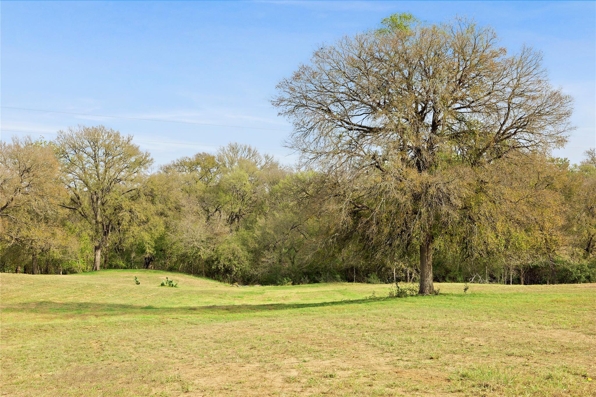 611 Fm 969 None Property Photo 9