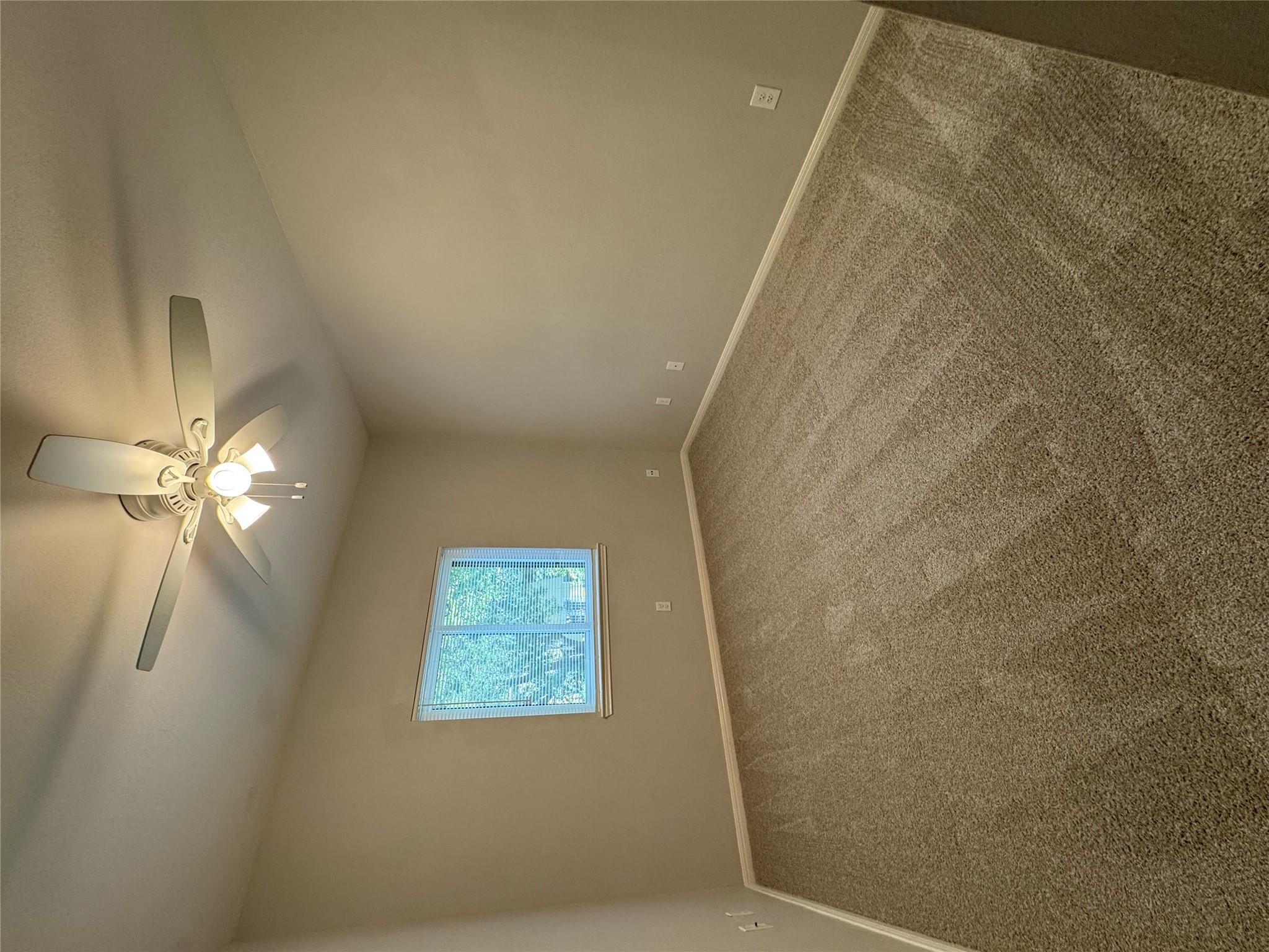 12212 Brigadoon Ln #147 Property Photo 13
