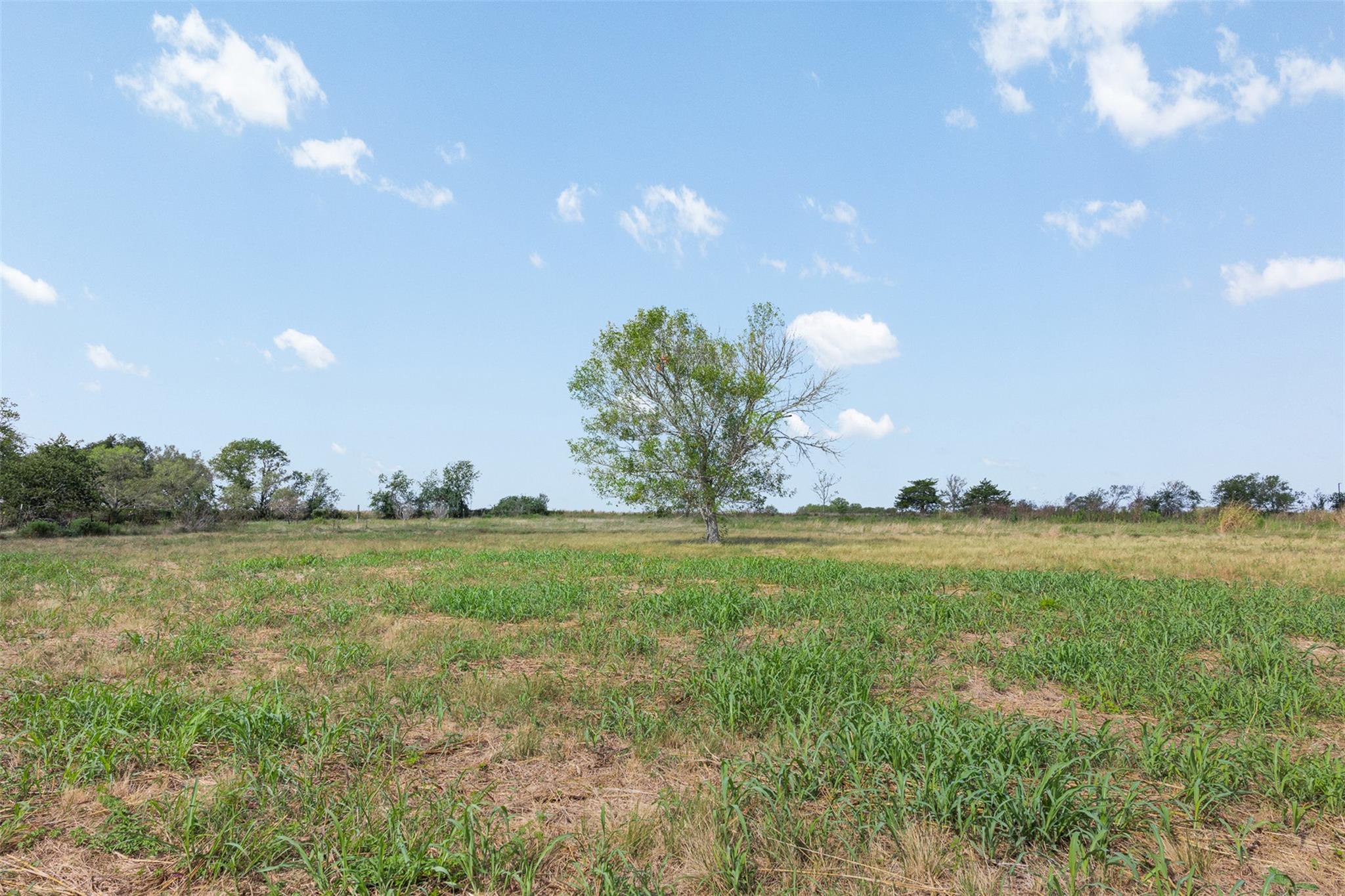 1845 Silent Valley Rd Property Photo 24