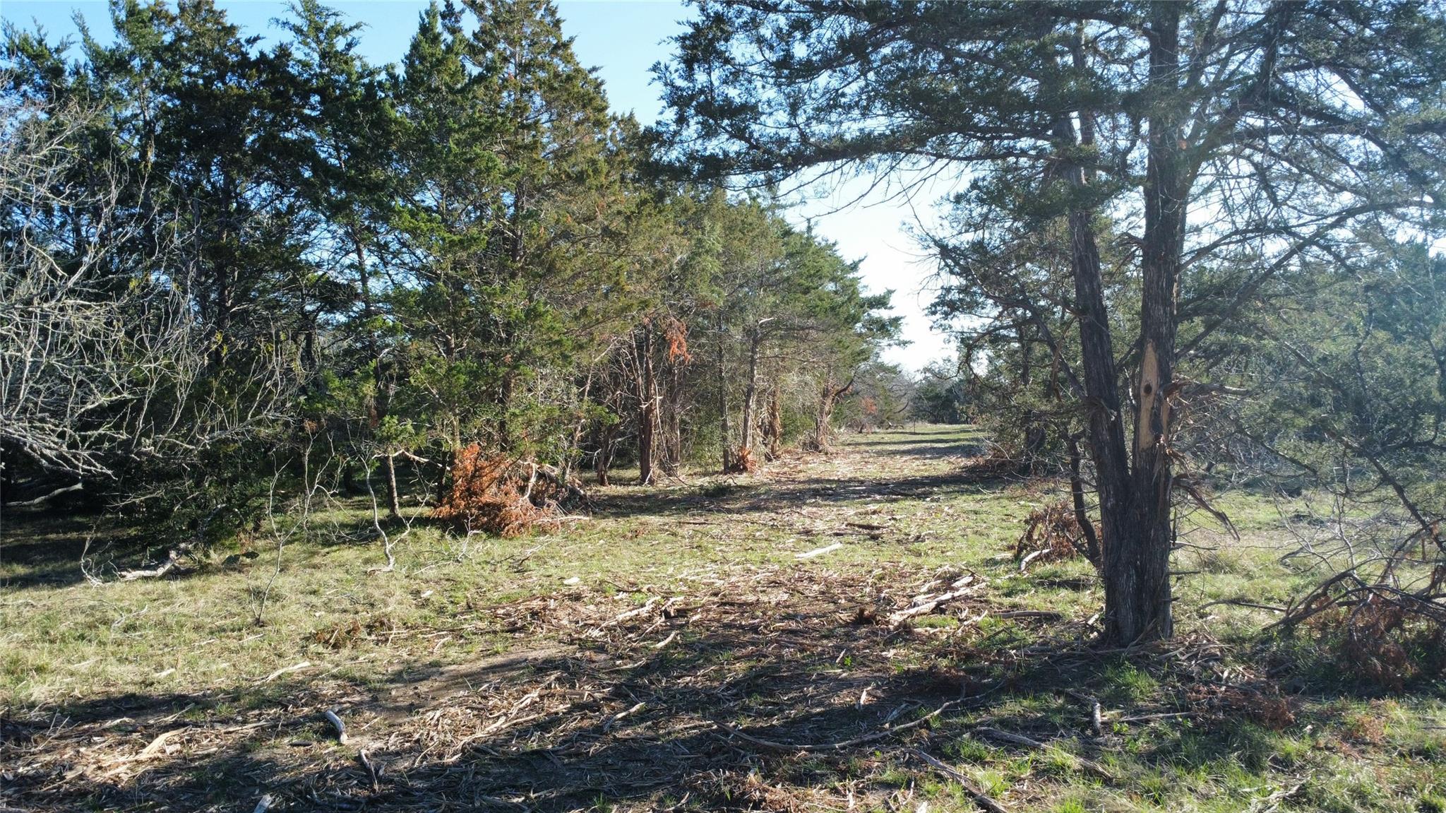 TBD Lot 7 Patterson Rd Property Photo 1