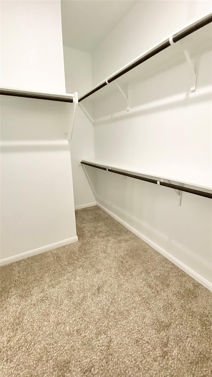 1104 Whipple Tree Trl Property Photo 32