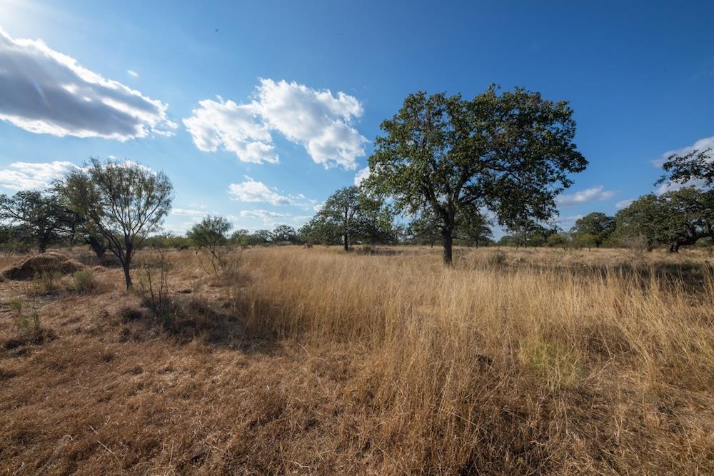 4730657 Property Photo 2