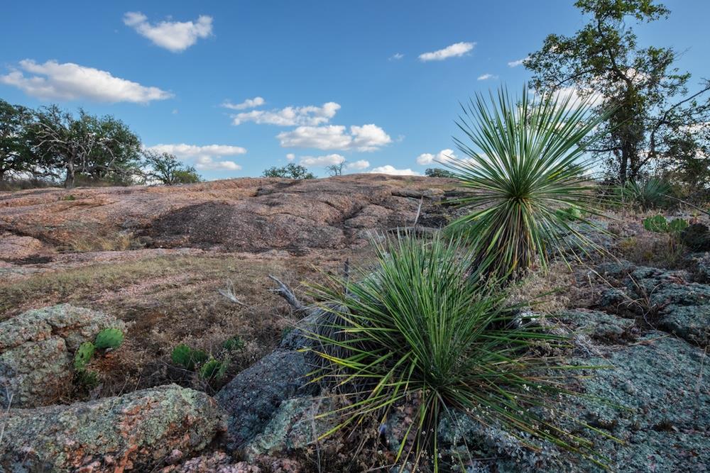 4730657 Property Photo 4