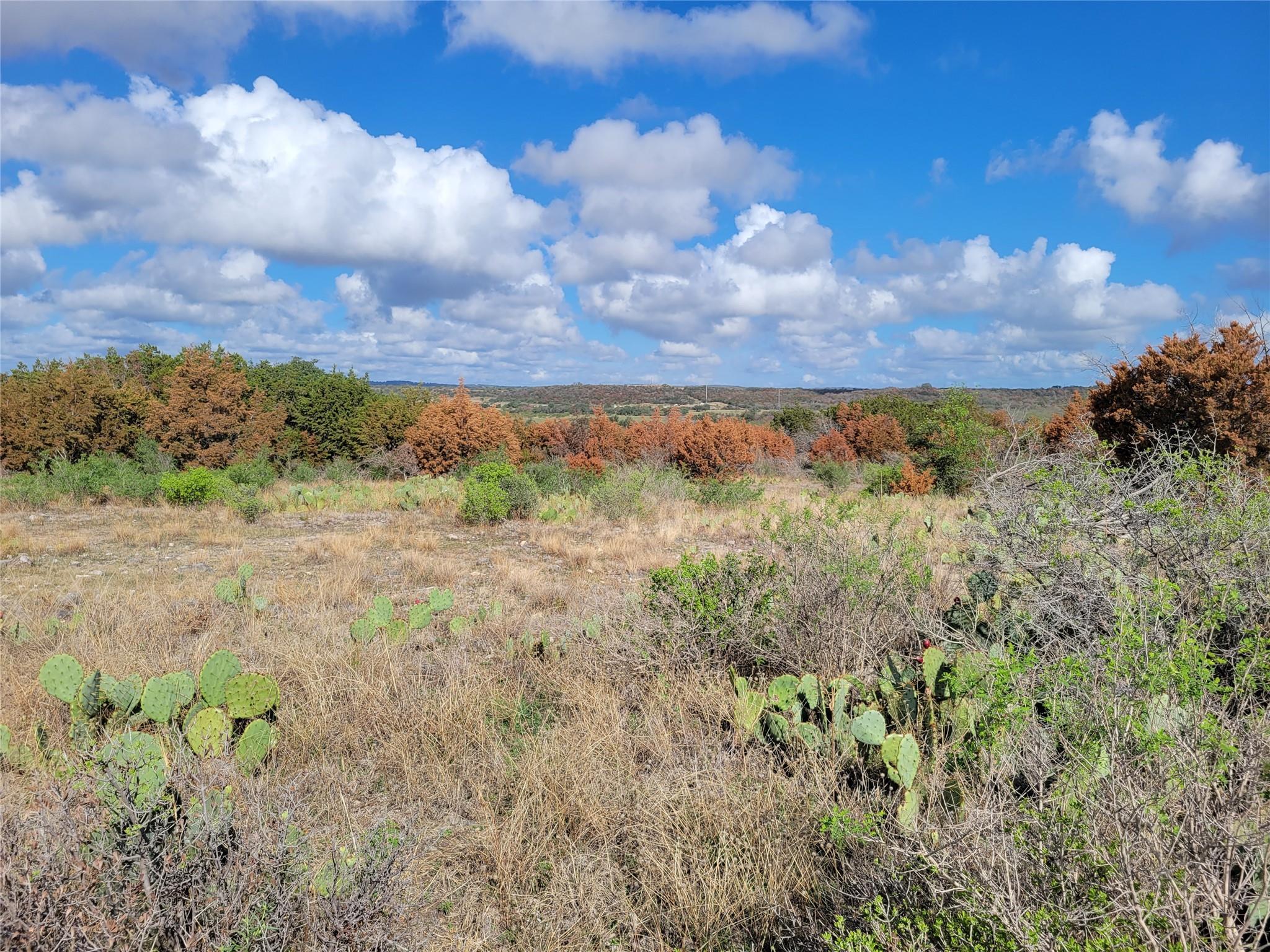 Tbd Fm 1855 Hwy Property Photo 9