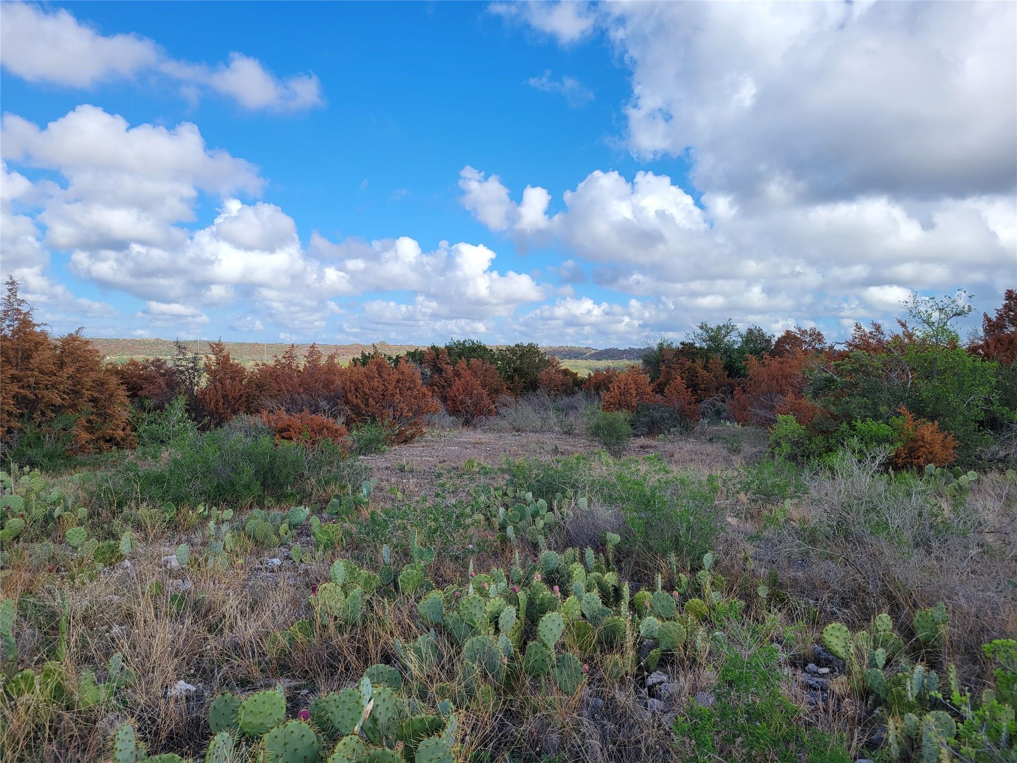 Tbd Fm 1855 Hwy Property Photo 10