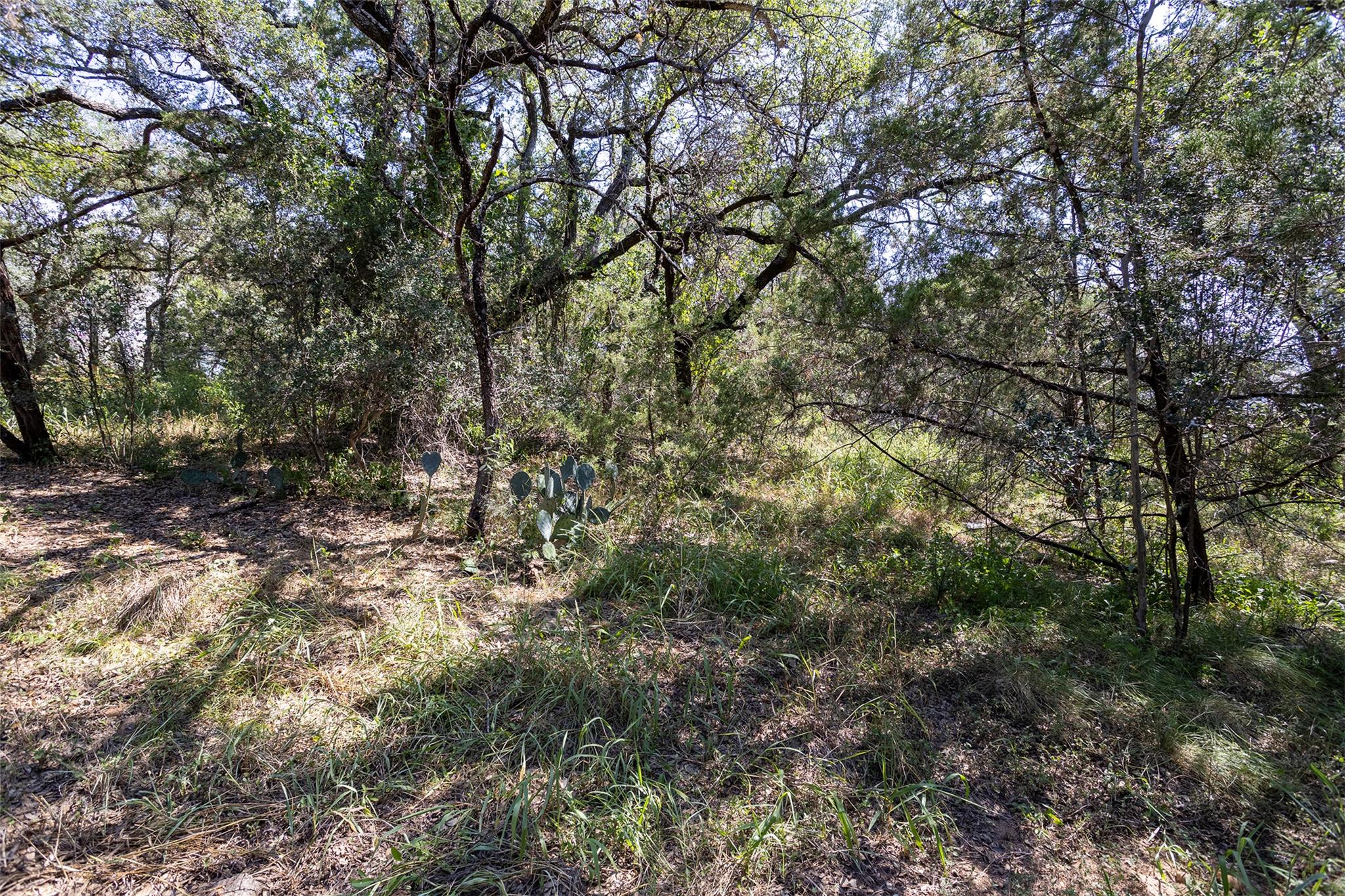 Tbd Laurel Ln Property Photo 3