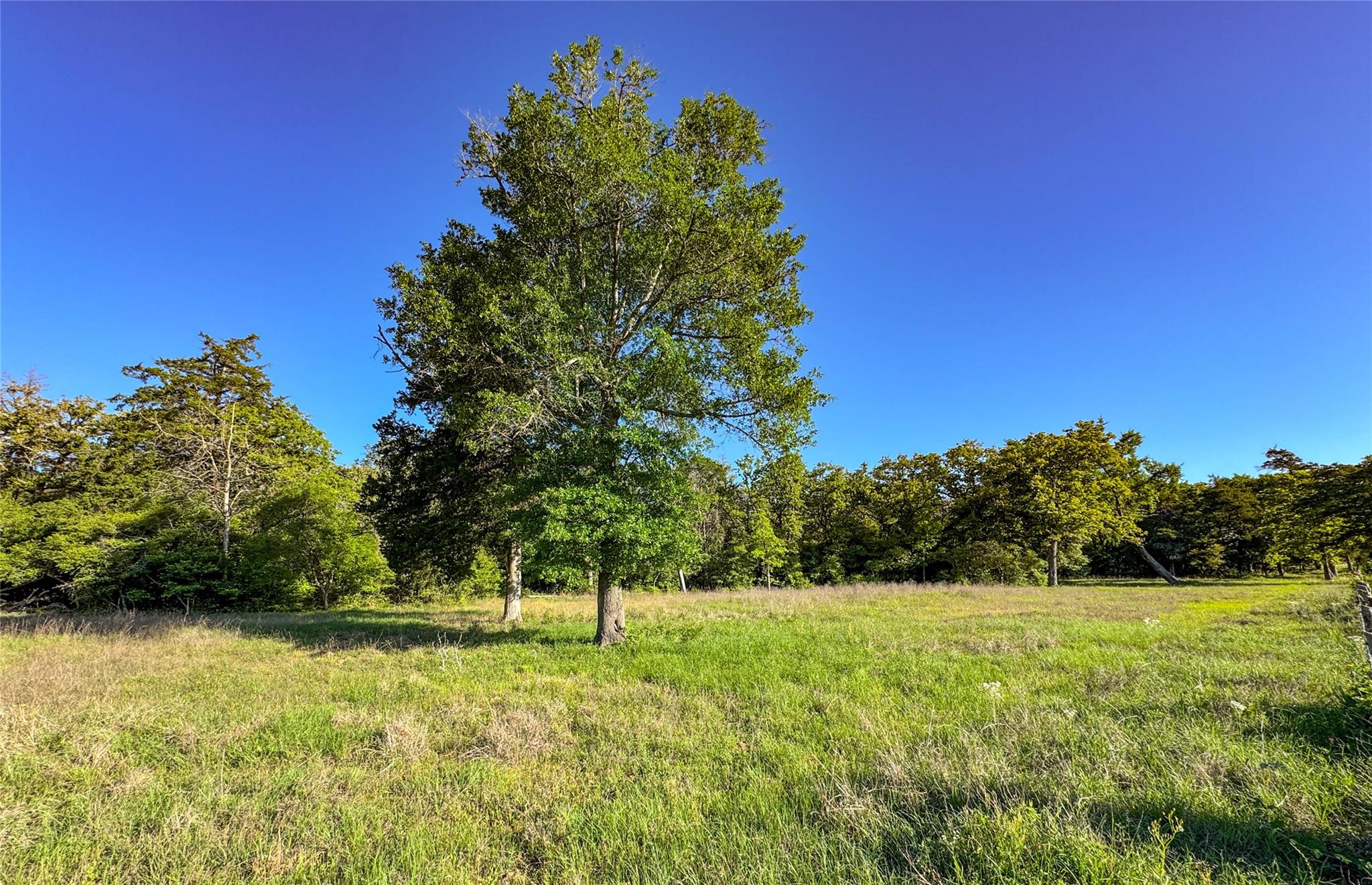 Tbd County Road 329 (+/- 8.8 Acres) Property Photo 1