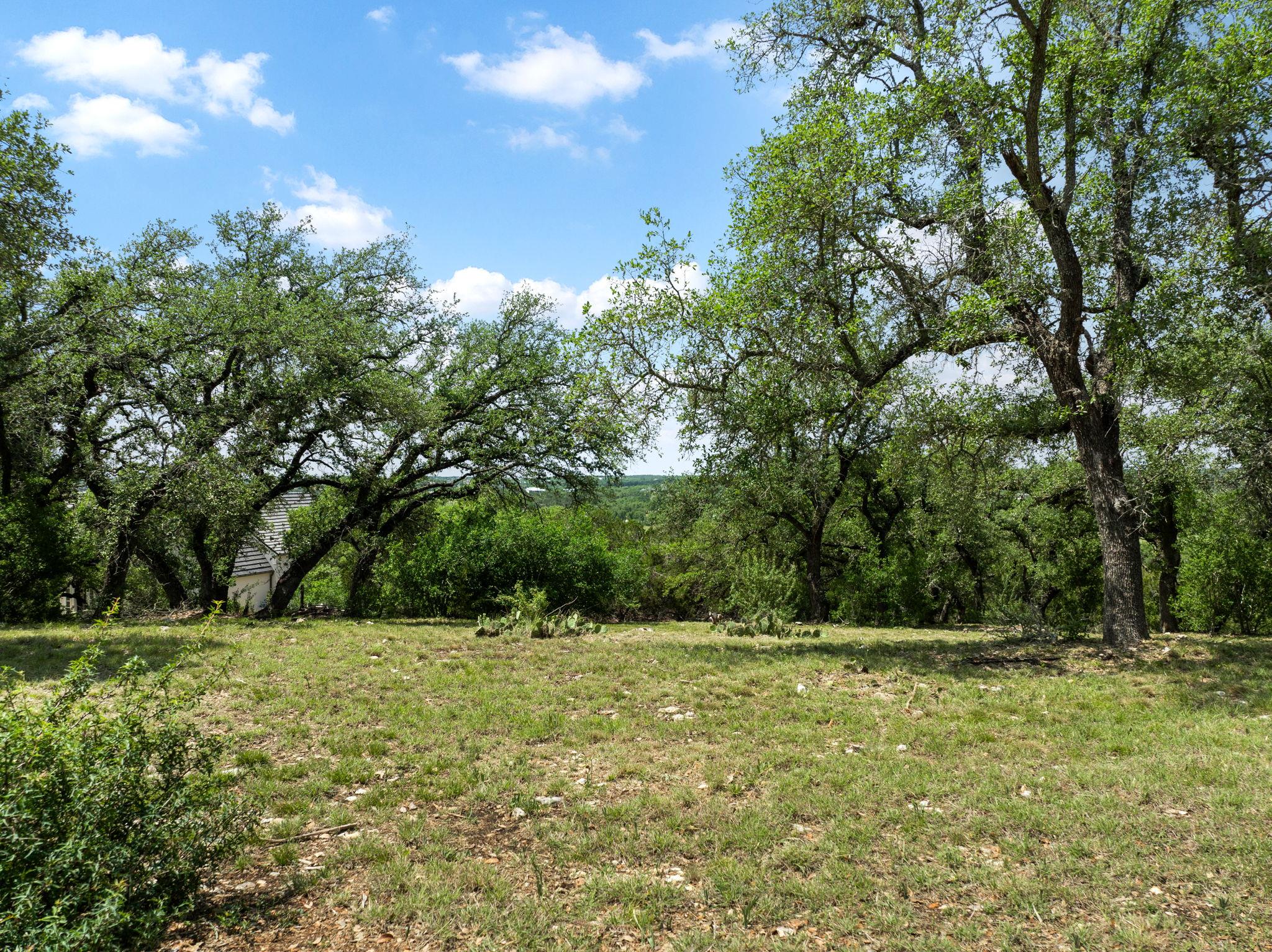8208 Bellancia Dr Property Photo 18