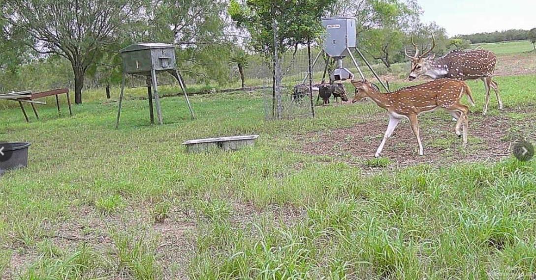 Fm 2294 Fm 2294 None Property Photo 3