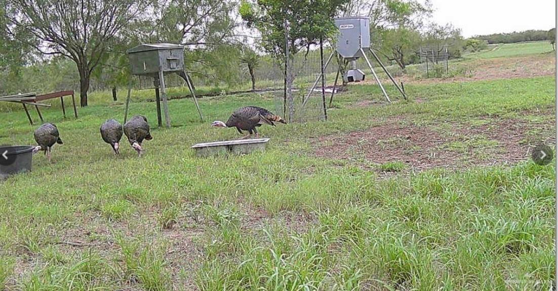 Fm 2294 Fm 2294 None Property Photo 12