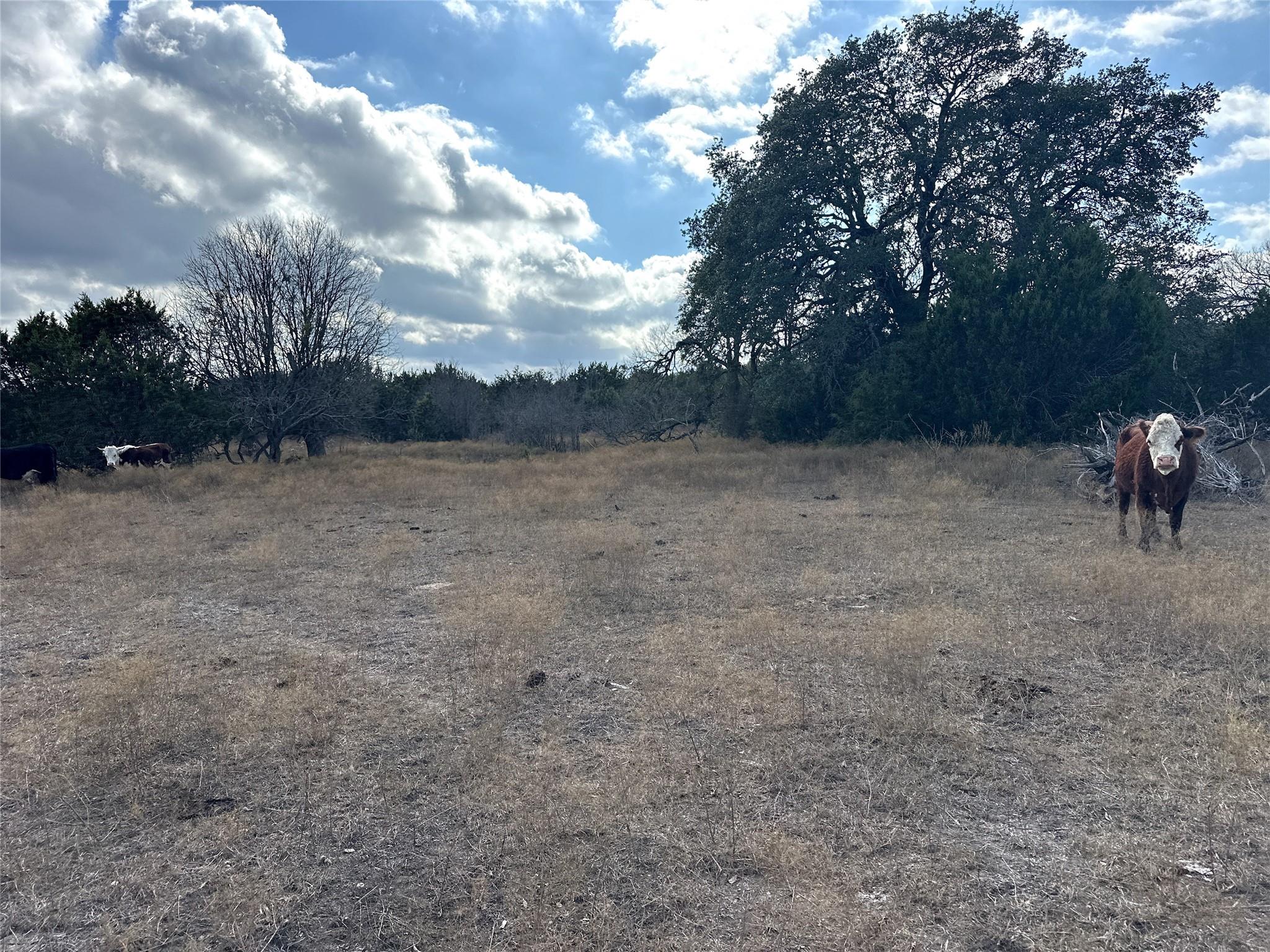 Lot 81 Reserve Dr Property Photo 2