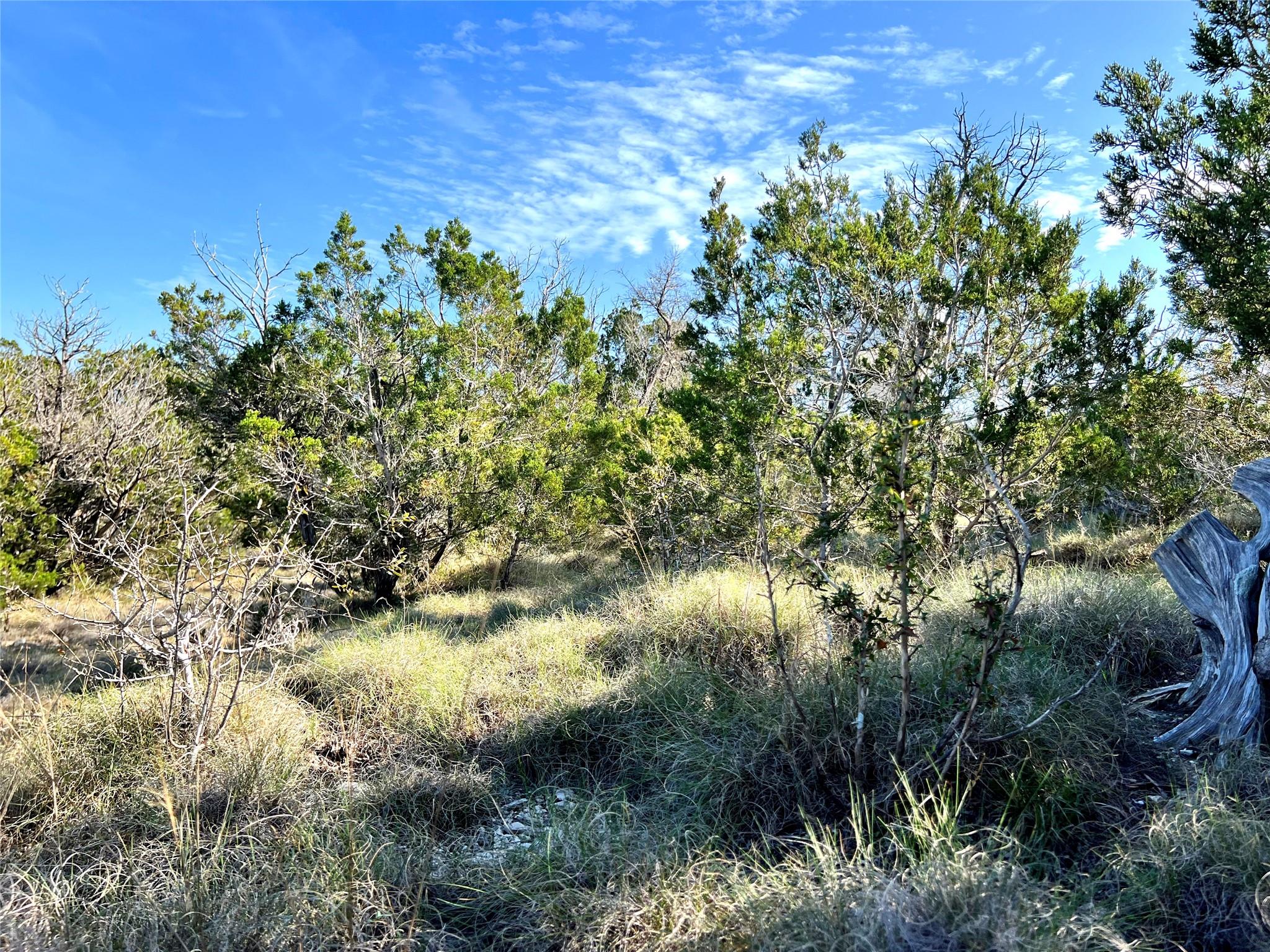 7b Broadwing Cv Property Photo 8