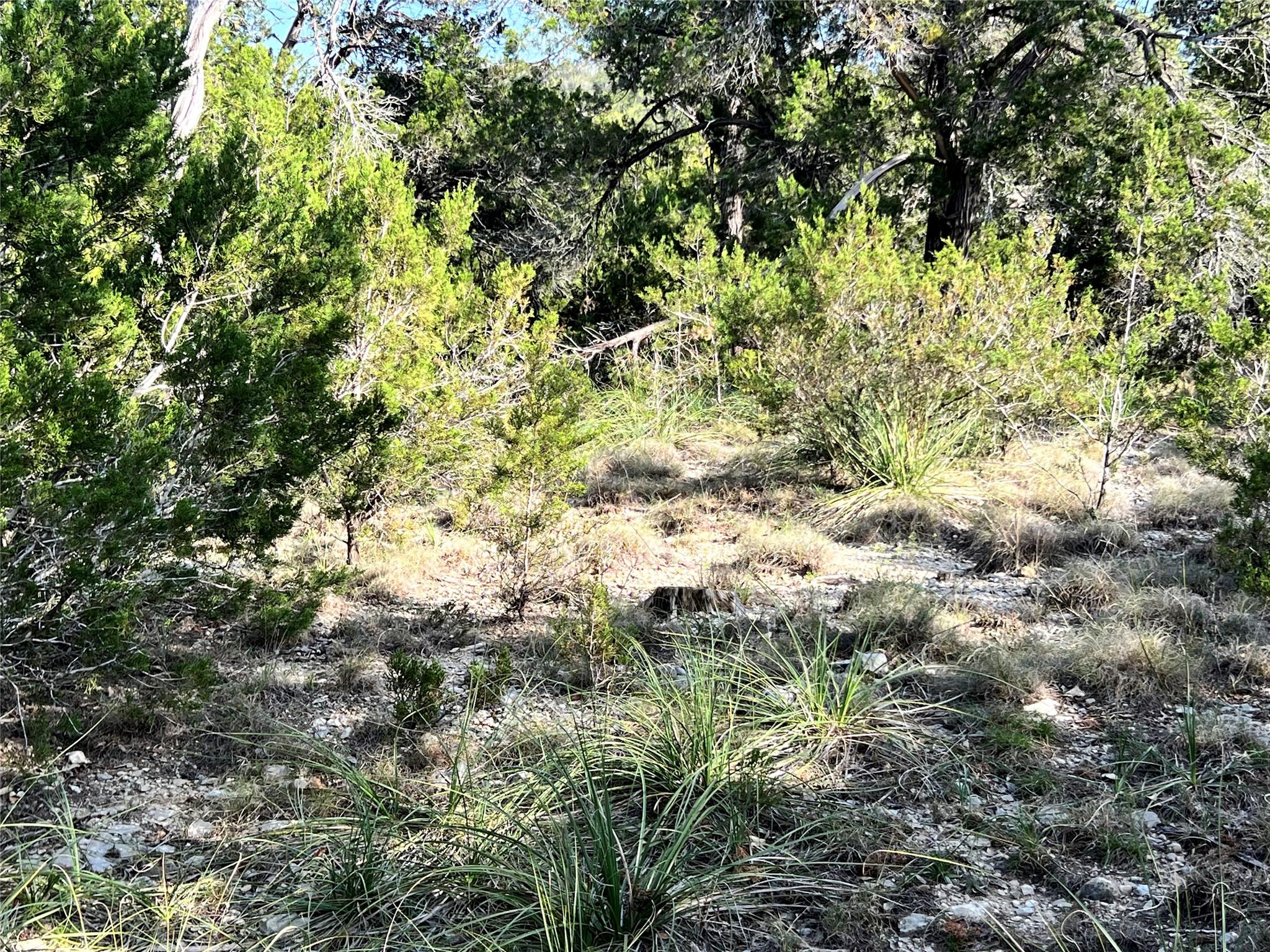 7b Broadwing Cv Property Photo 16