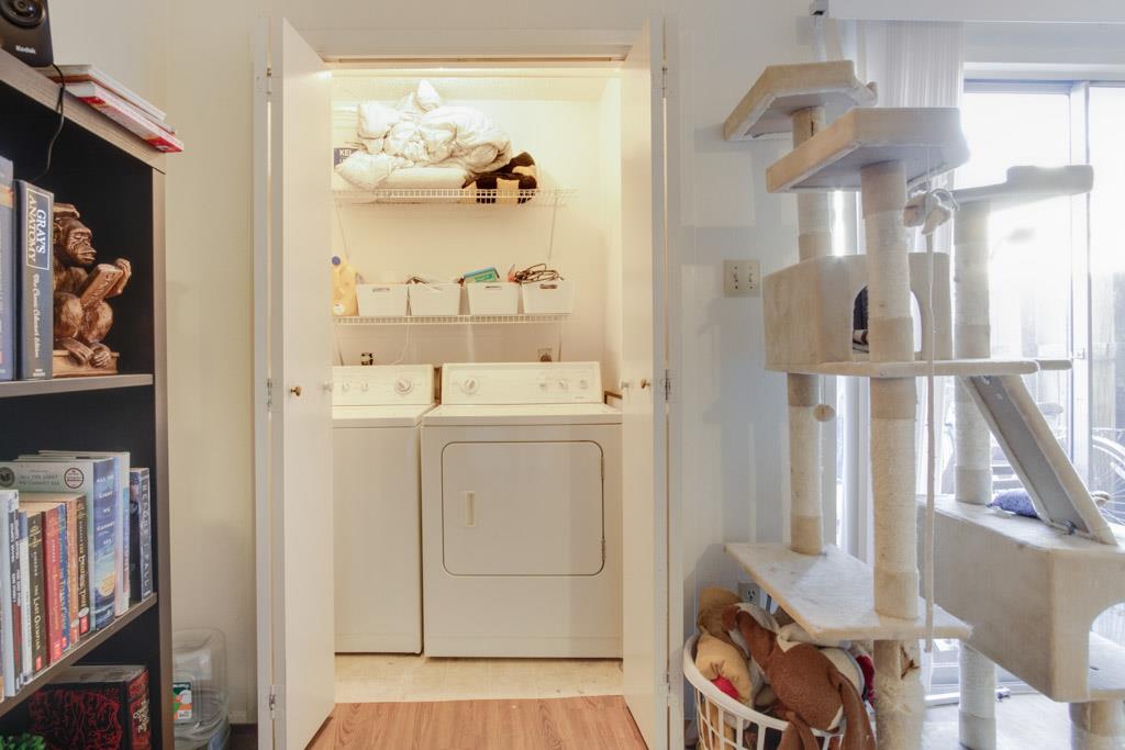 5203 Evans Ave #b Property Photo 17