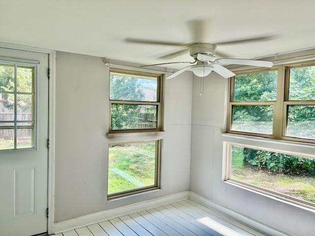 3413 Rocky Hollow Trl Property Photo 12