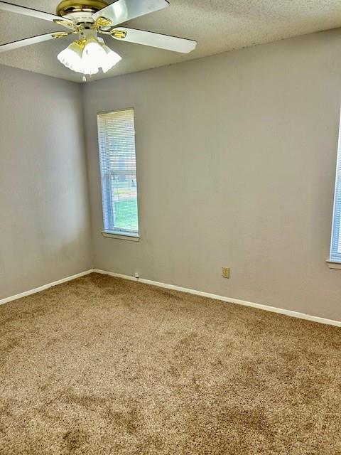 3413 Rocky Hollow Trl Property Photo 15