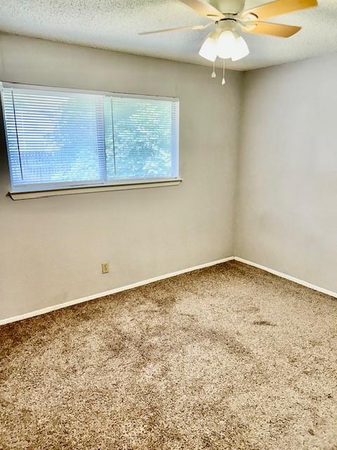 3413 Rocky Hollow Trl Property Photo 20