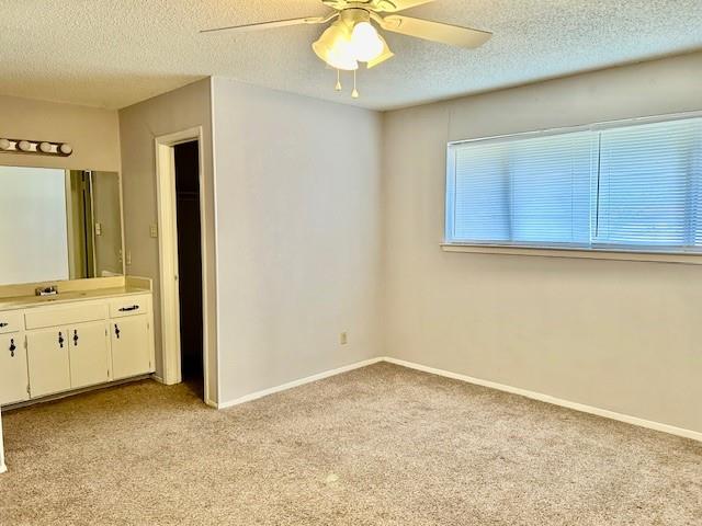 3413 Rocky Hollow Trl Property Photo 23