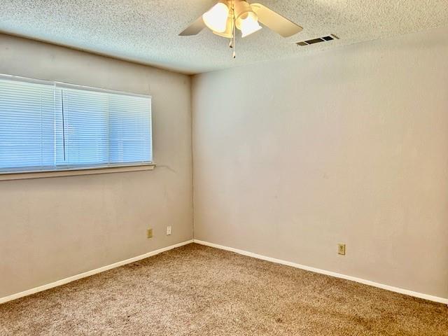 3413 Rocky Hollow Trl Property Photo 24